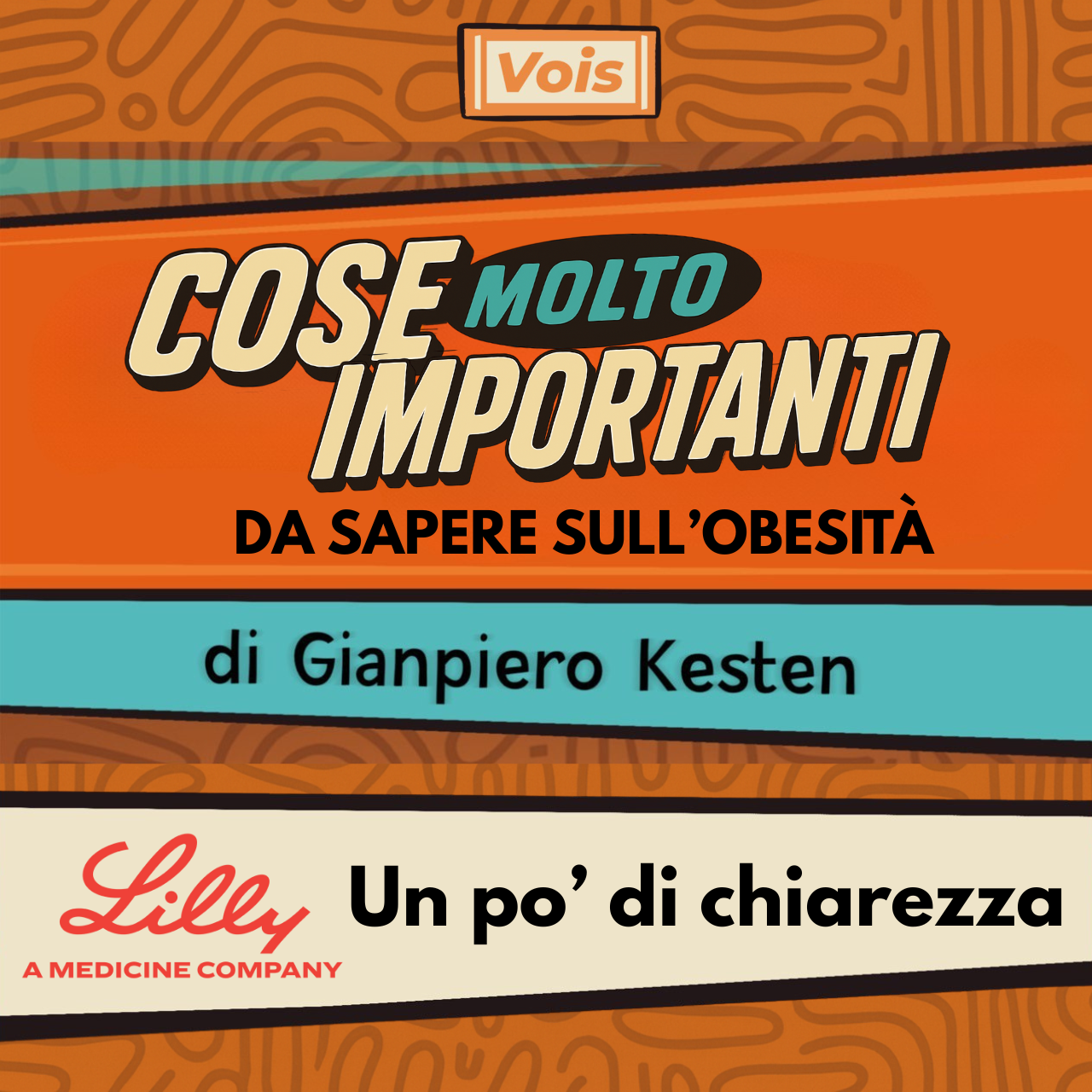 2048 - Cose Molto Importanti da sapere sull'obesità - Un po’ di chiarezza
