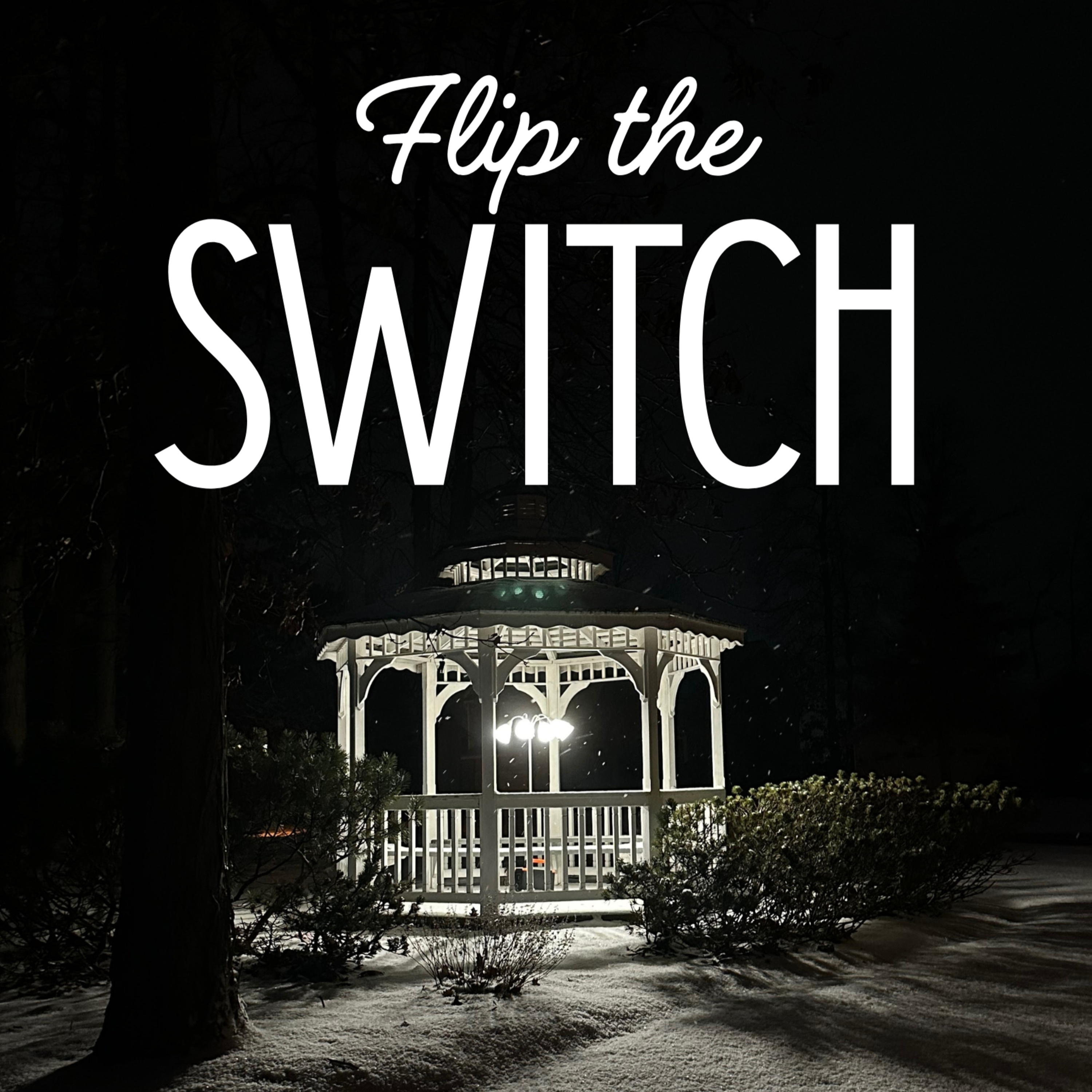 Flip the Switch episode artwork