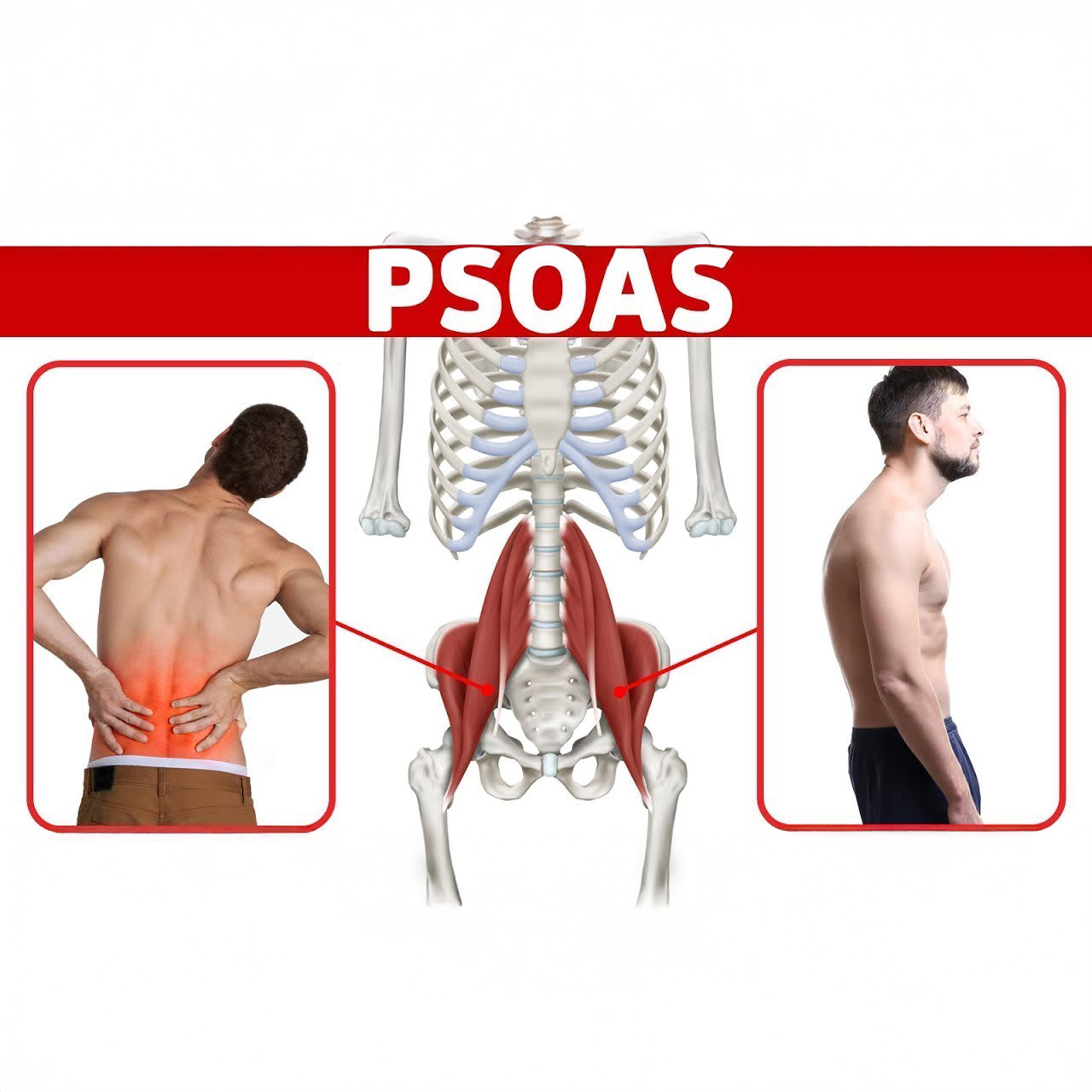 The BEST Way to Release a Tight Psoas Muscle for Low Back Pain and Poor Posture