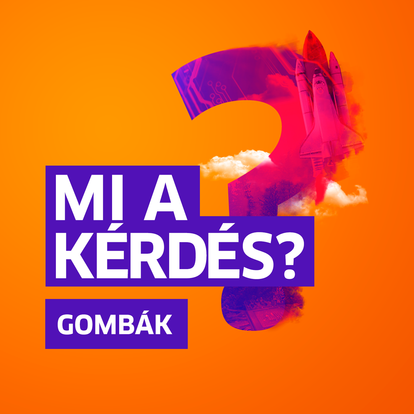 Mit tanulhat a gombáktól az emberiség? | Mi a kérdés? Kovács M. Gáborral episode artwork