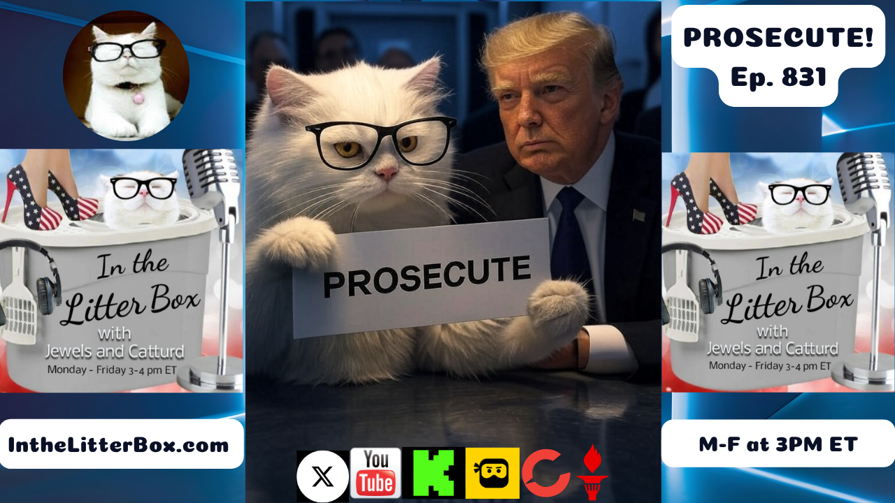 PROSECUTE! | In the Litter Box w/ Jewels & Catturd – Ep. 831 – 6/27/2025