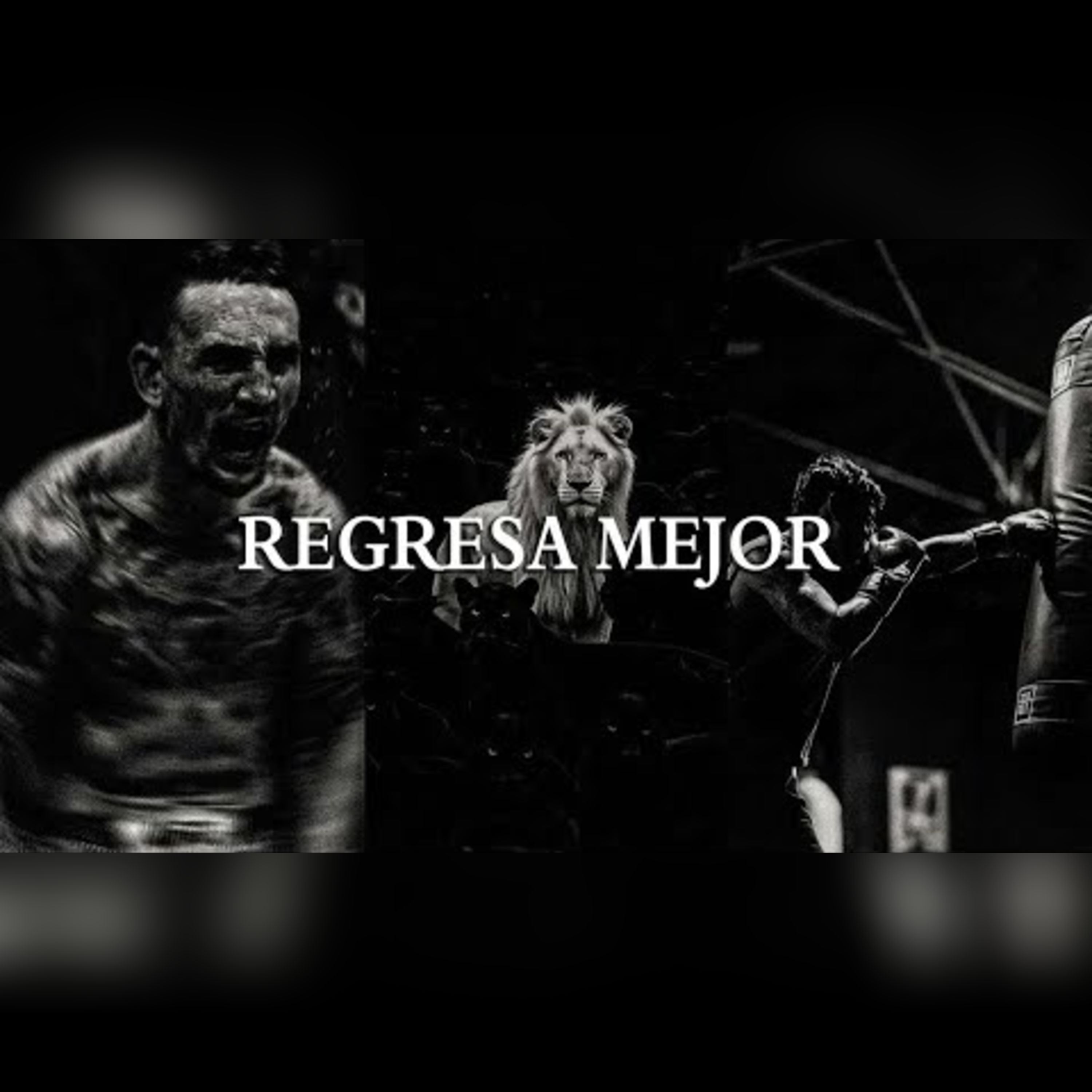 Motivación Absoluta