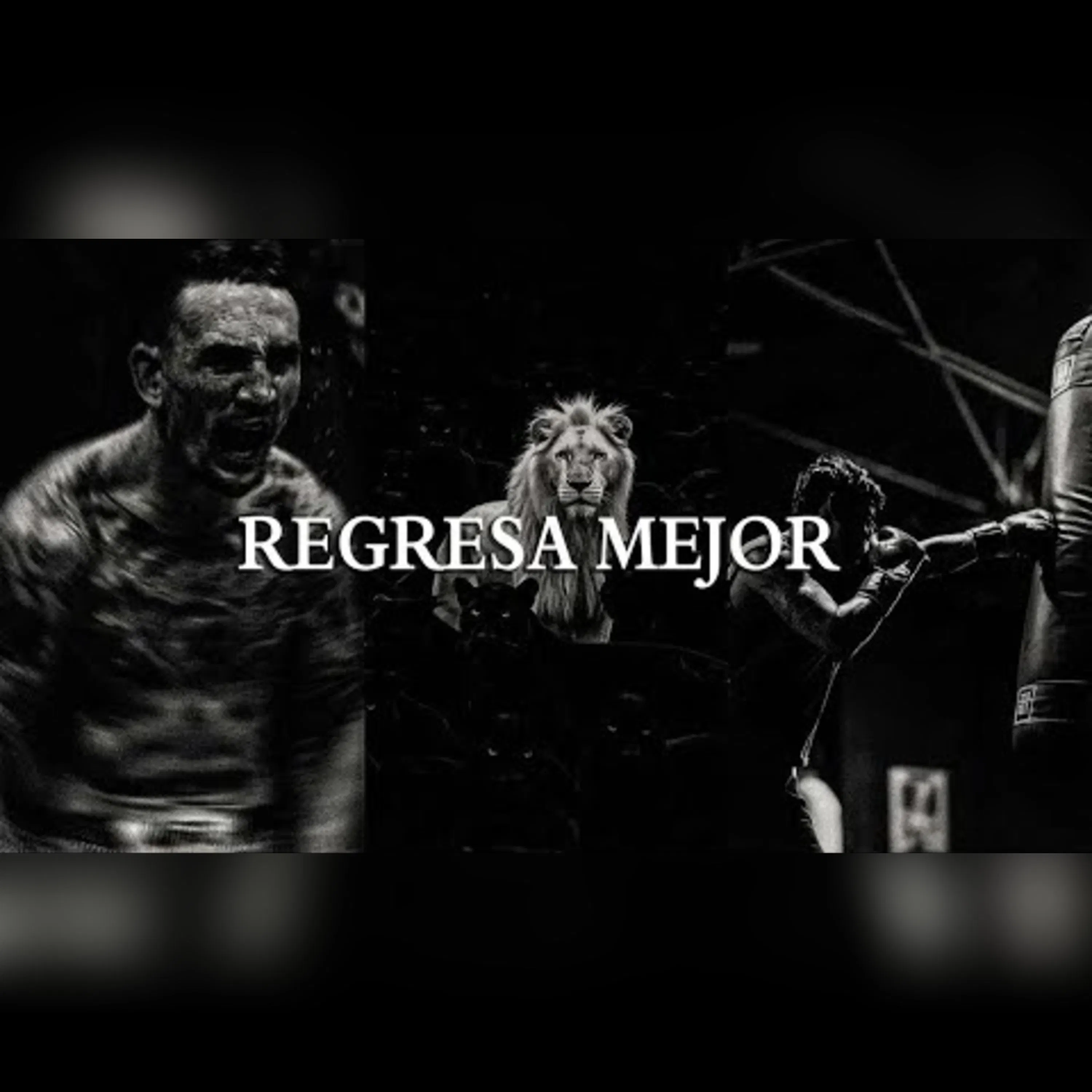 Vuelve más fuerte que nunca: discurso motivacional que te hará alcanzar tus metas Vuelve más fuerte que nunca: discurso motivacional que te hará alcanzar tus metas