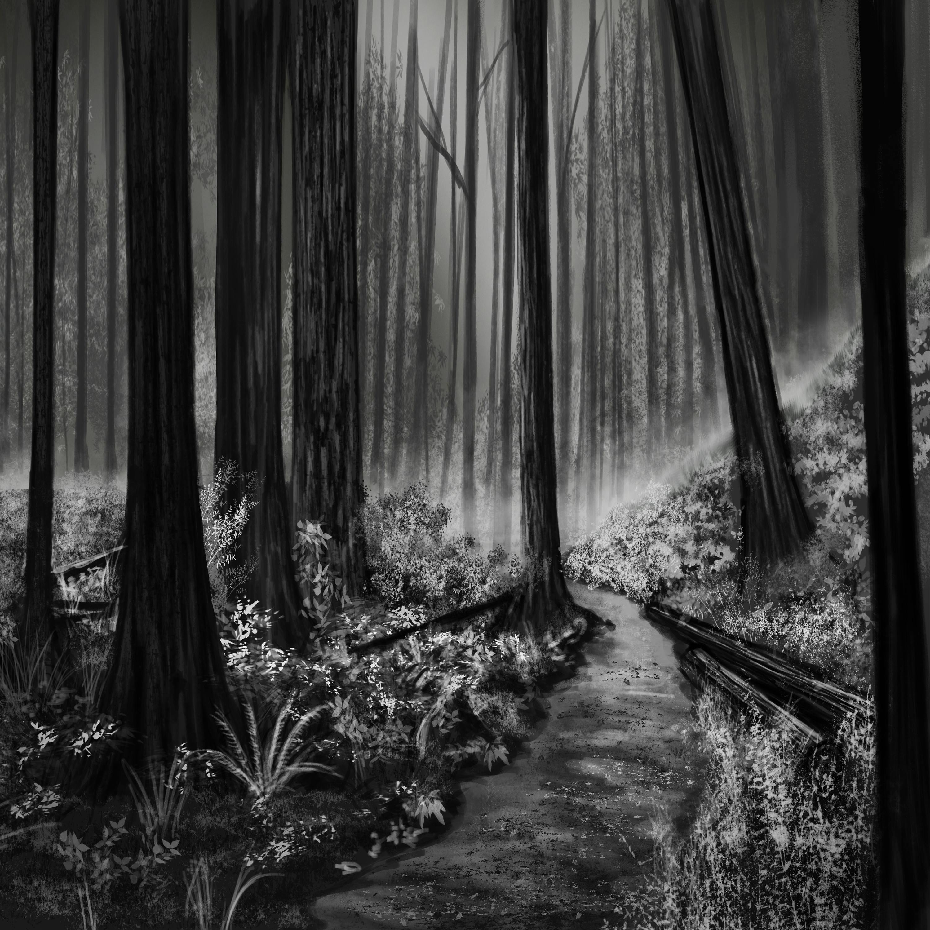 There is Something in the Woods