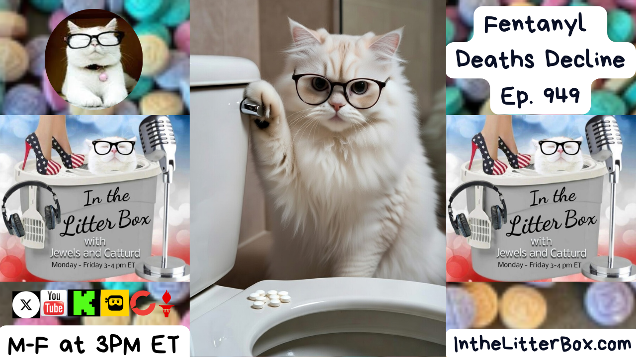 Fentanyl Deaths Decline | In the Litter Box w/ Jewels & Catturd – Ep. 949 – 1/14/2026