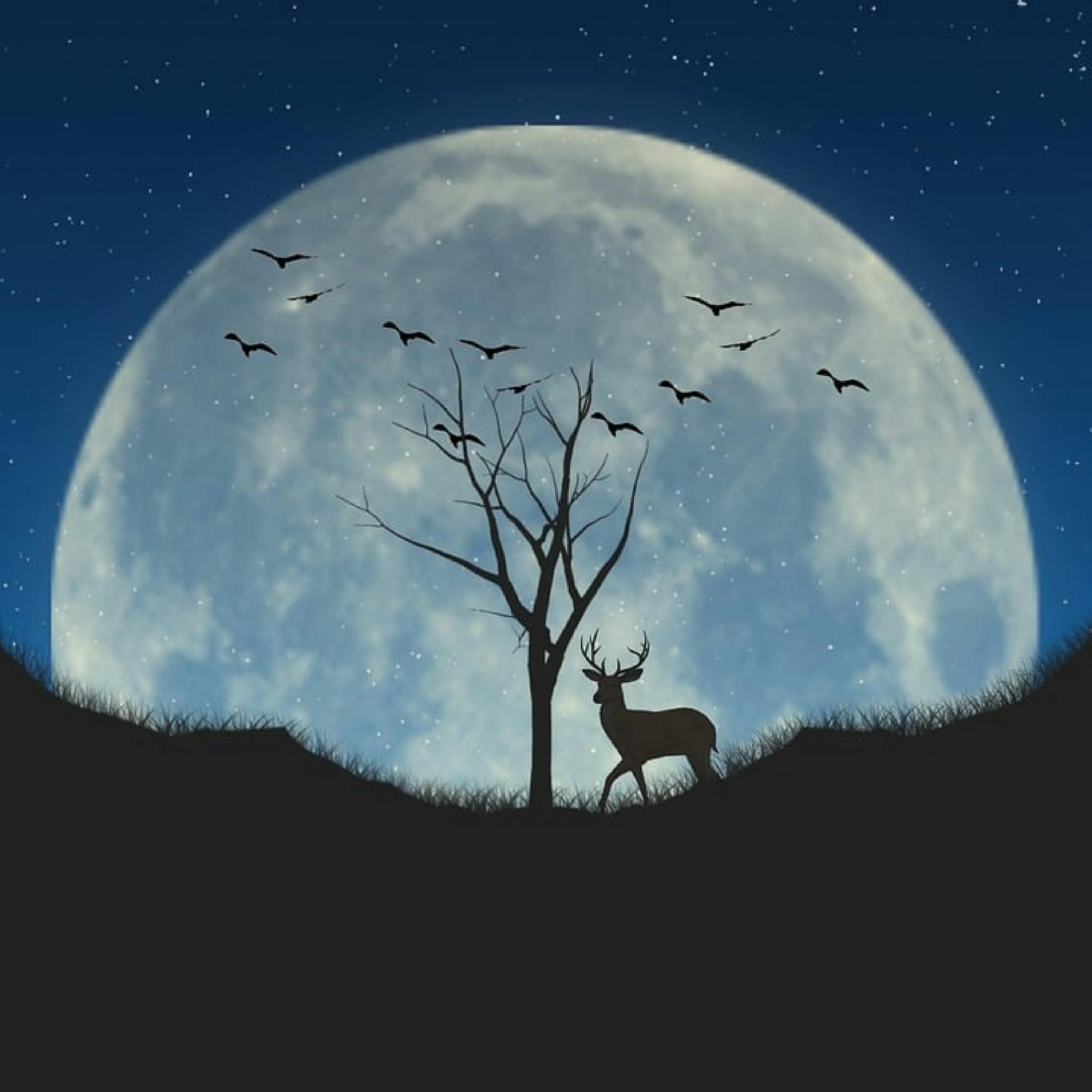 😴🎵 Soft MUSIC, a Natural Remedy for SLEEP episode artwork