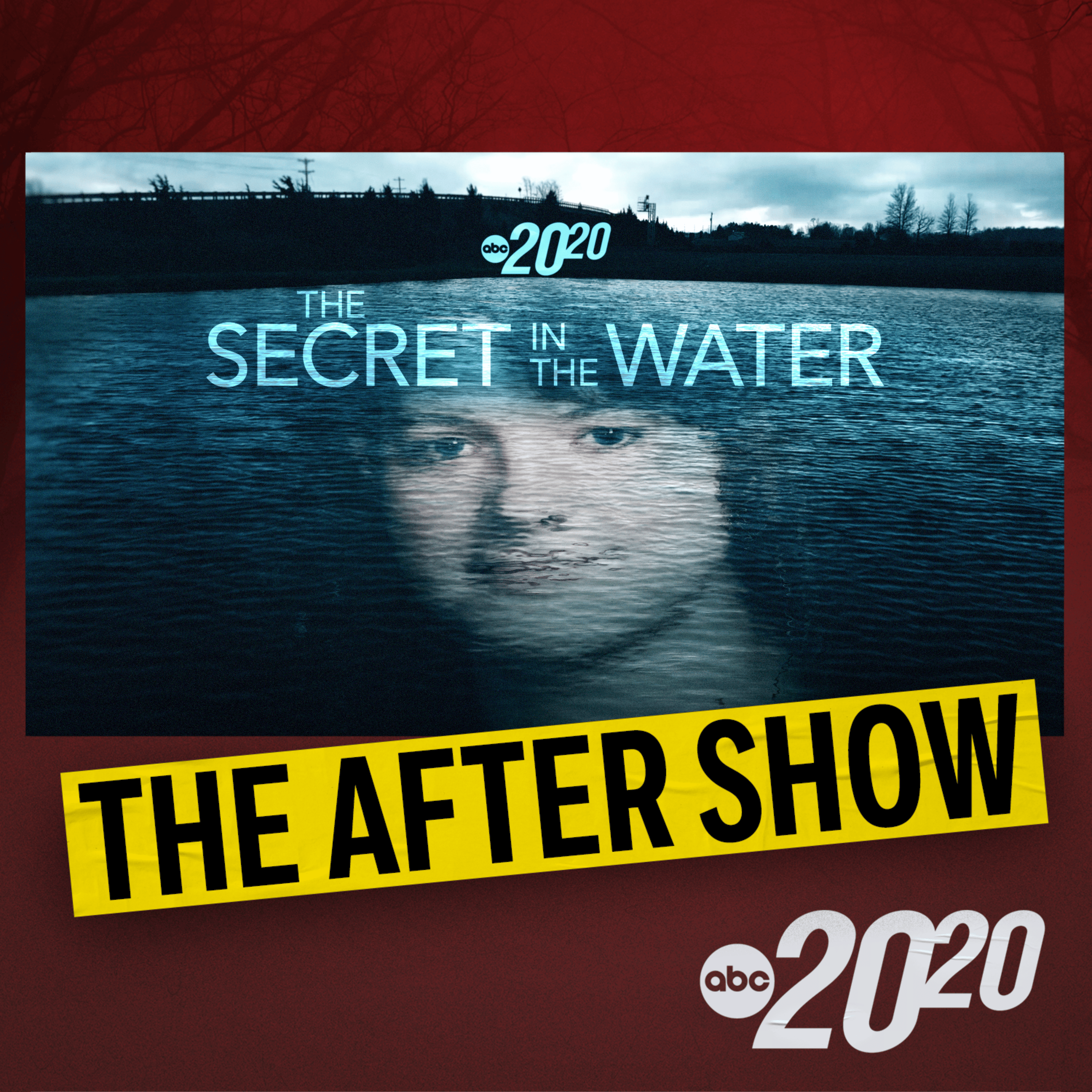 The After Show: The Secret in the Water