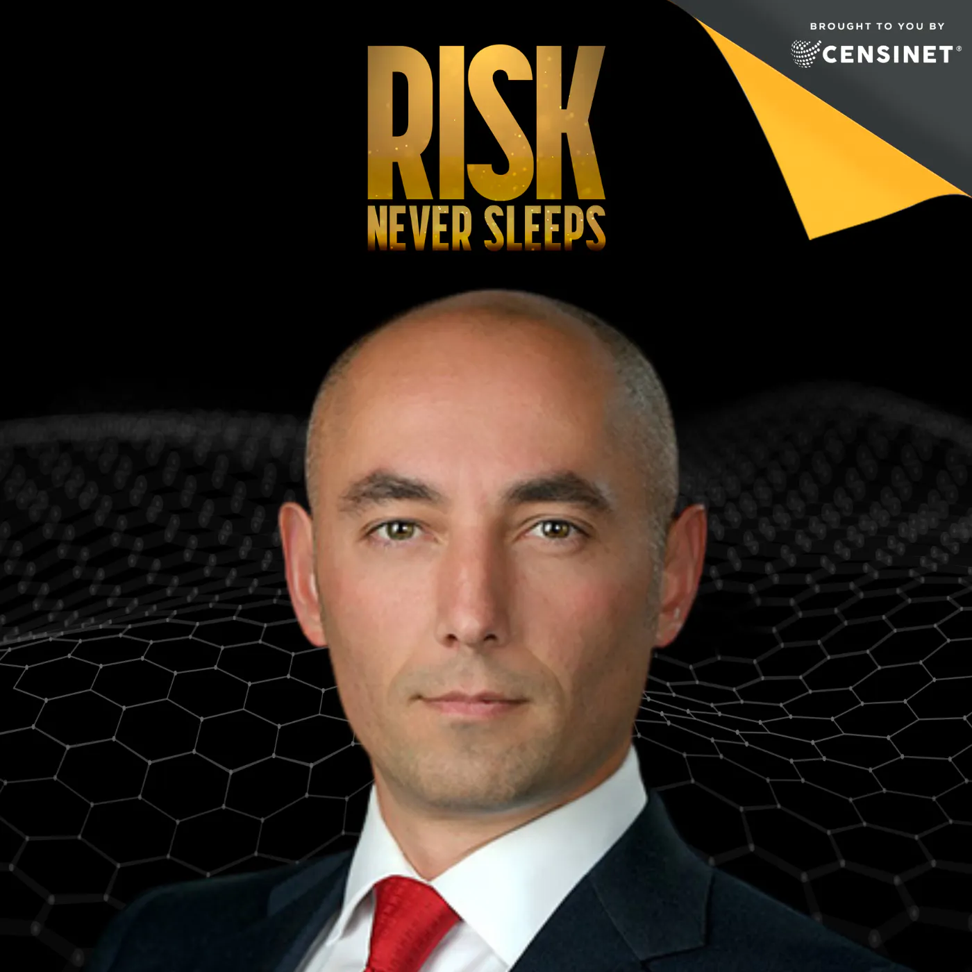 Episode #198. AI Is Moving at Startup Speed. Enterprises Are Still in Approval Meetings, with Dennis Chornenky, Founder and CEO of Dome Labs AI — Risk Never Sleeps Podcast cover