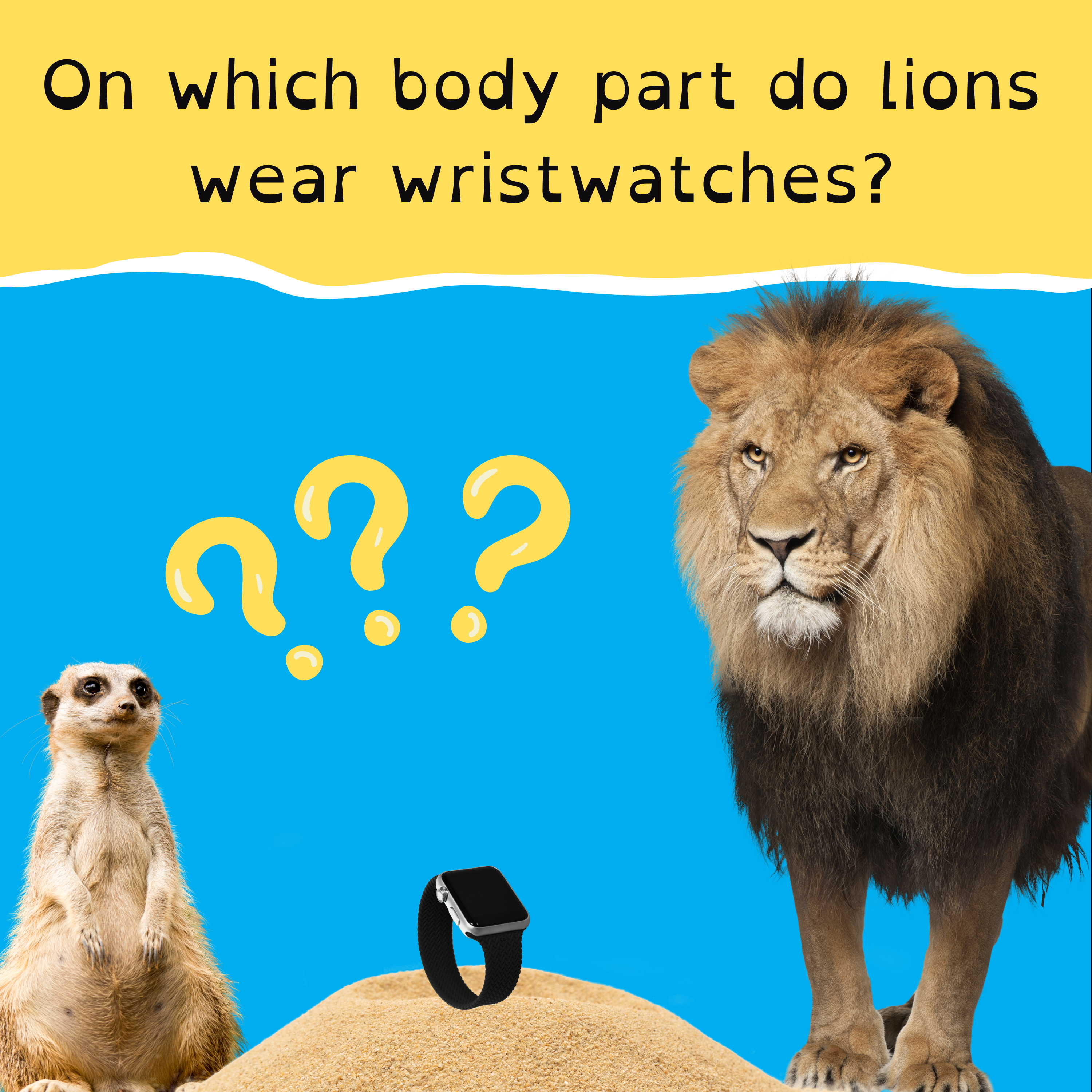 New pandas for Adelaide Zoo; New Zealand’s whale treaty; the country kid off to the Olympics; and the lion with a watch on its tongue.