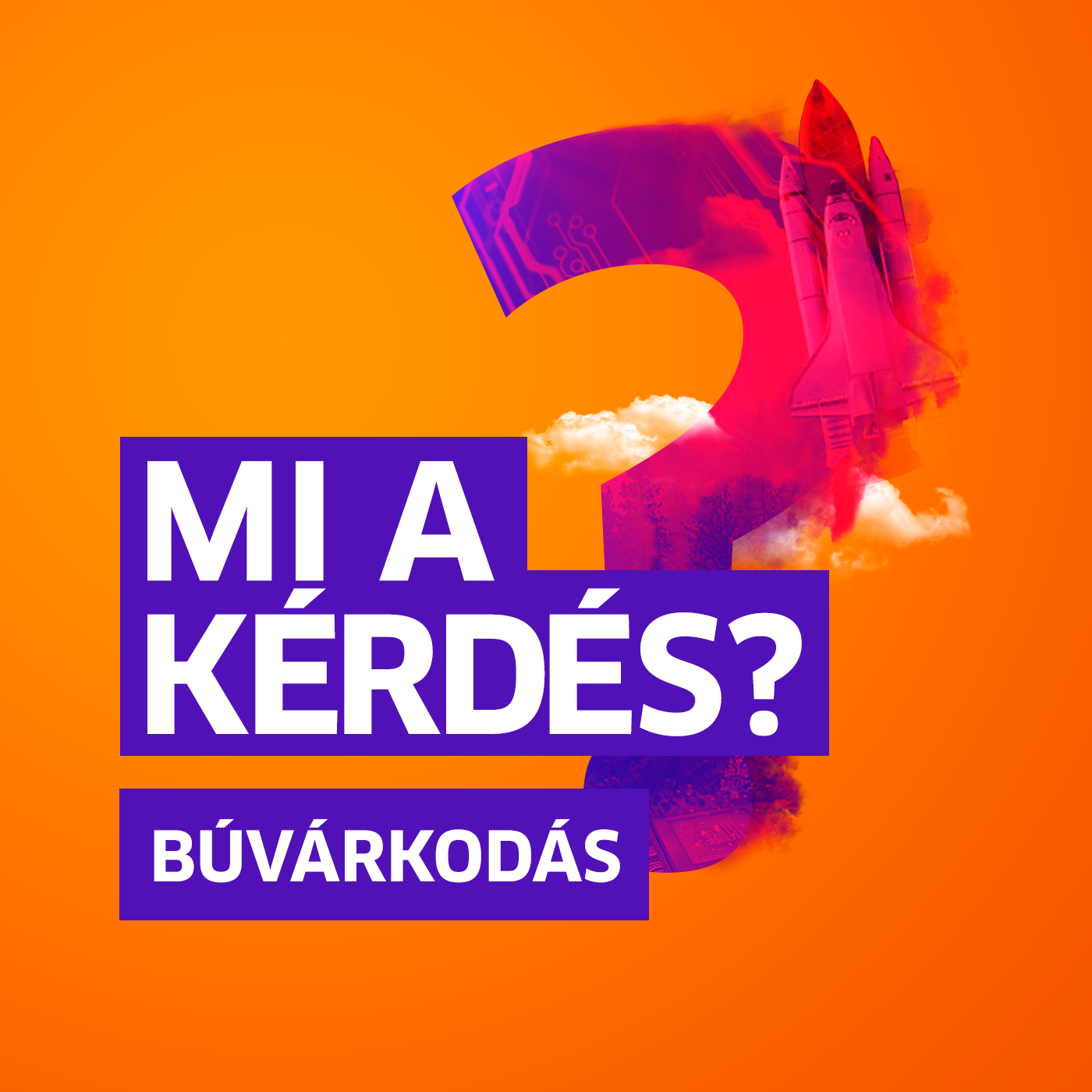 Mit tehetünk a tengerek jövőjéért? | Mi a kérdés? Németh Szabolccsal episode artwork