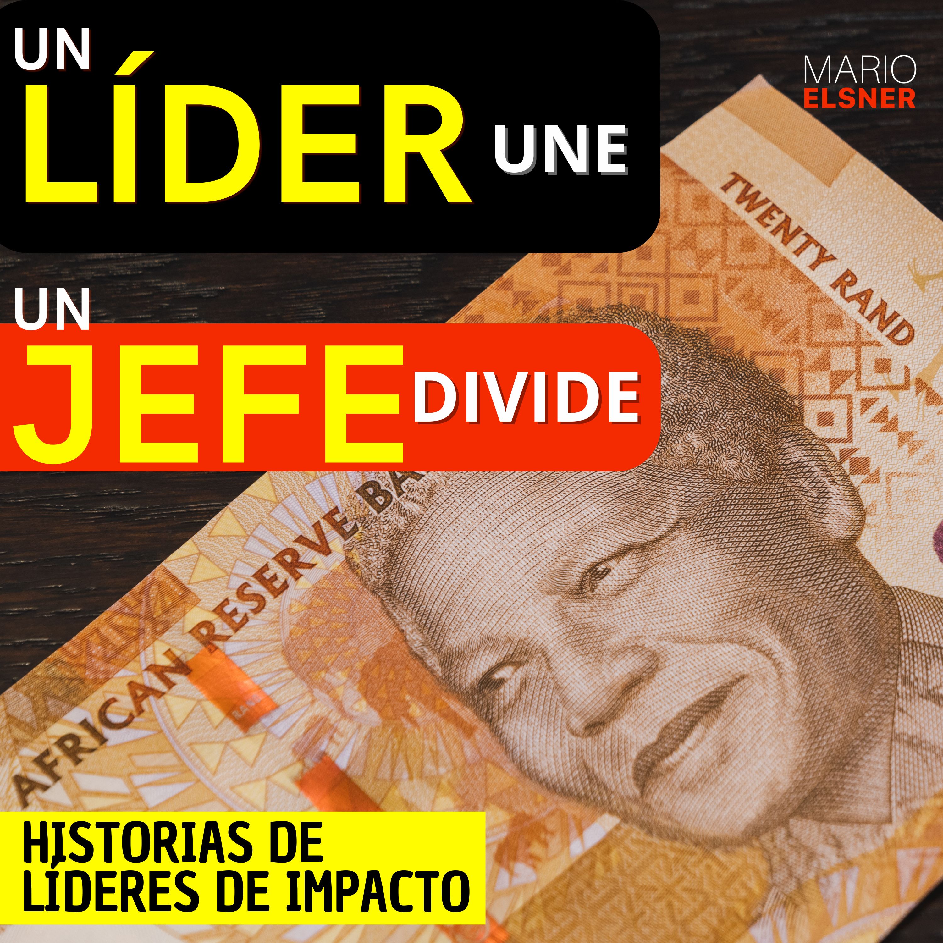 Portada de ¿Cómo lo haría un DIRECTOR?