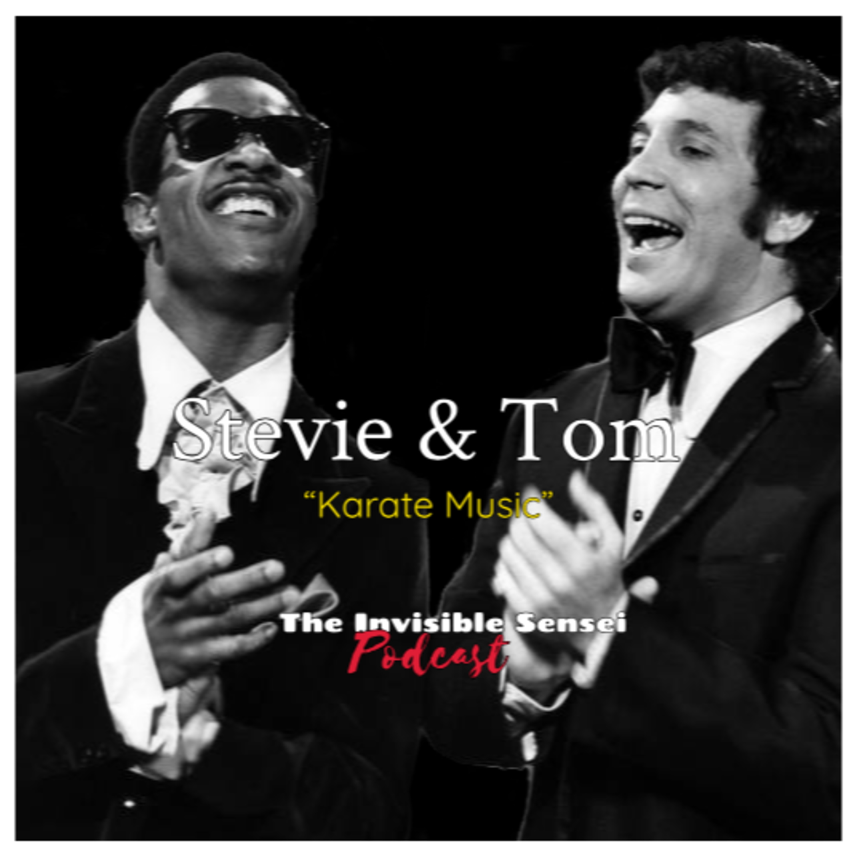 "Stevie & Tom" Karate Music episode artwork