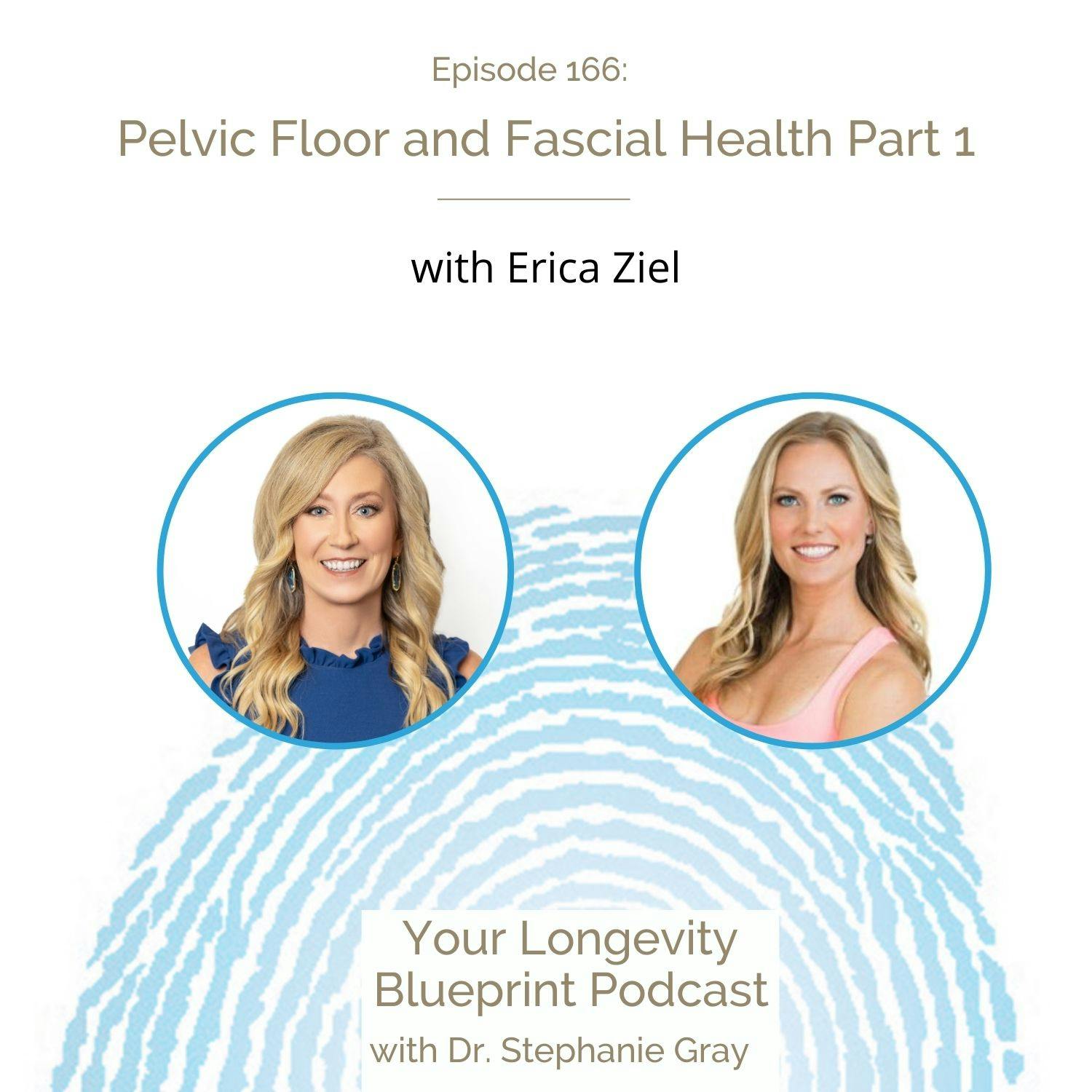 166: Pelvic Floor and Fascial Health Part 1 with Erica Ziel