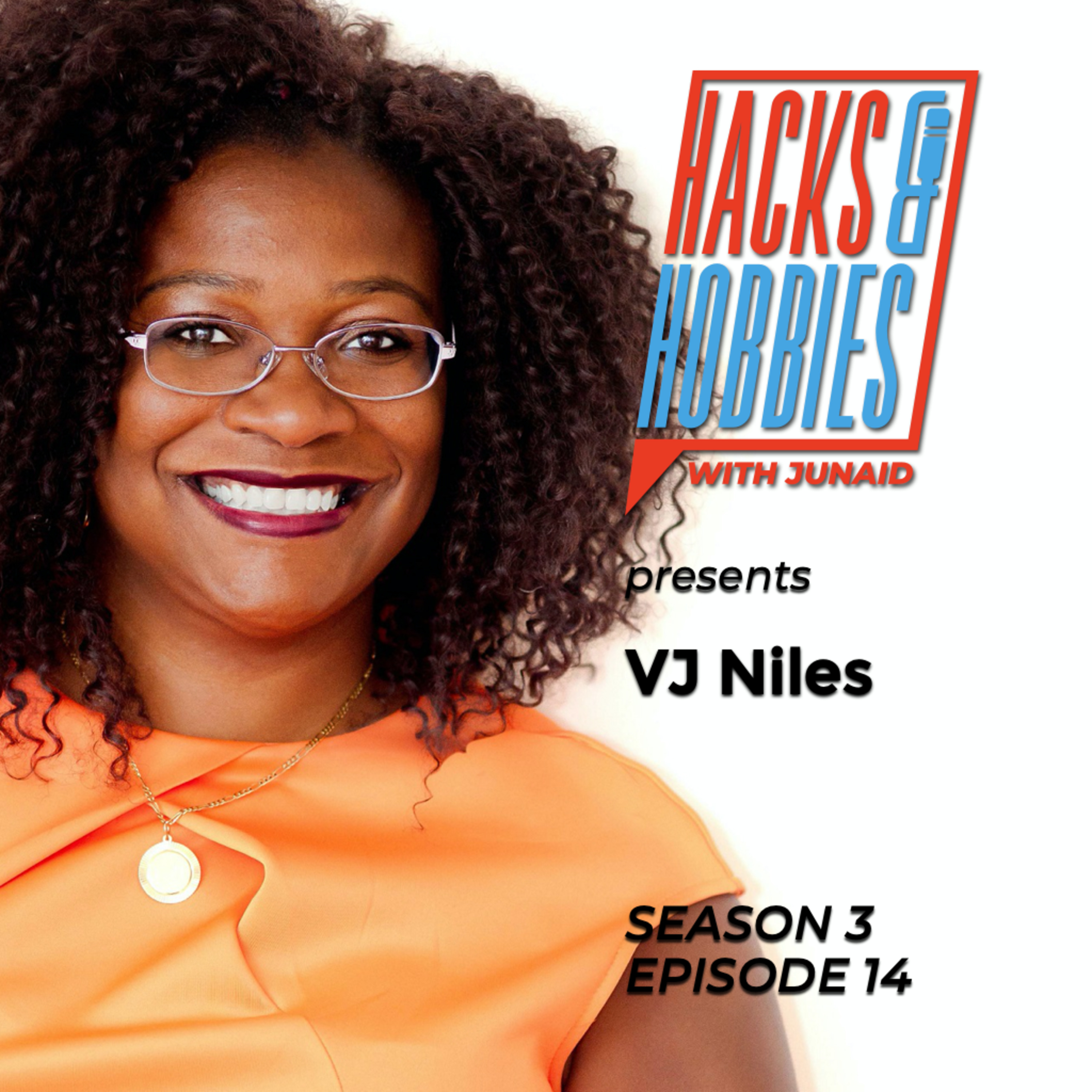 E314 - VJ Niles - How to get to the next level of your career.