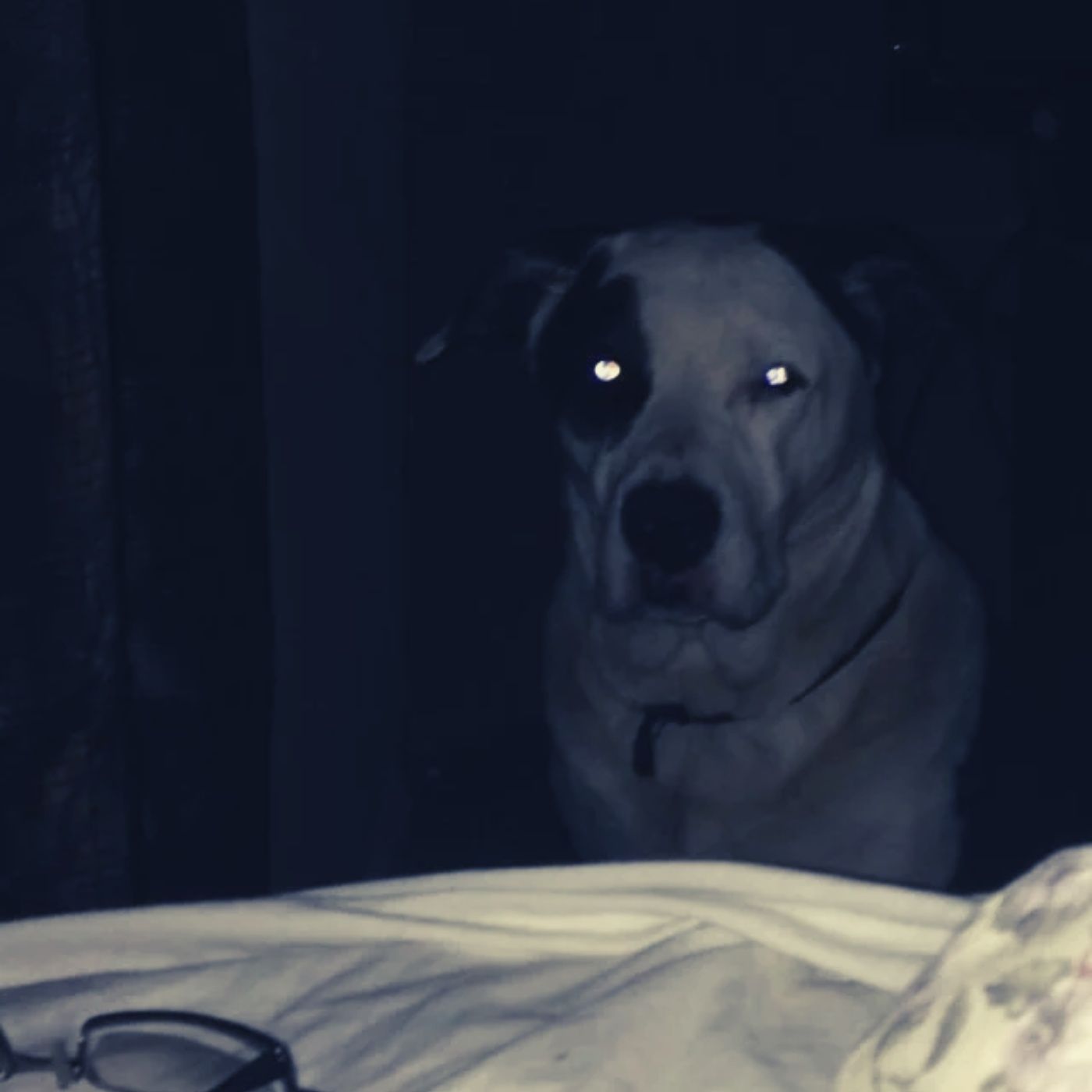 HISTORIAS DE TERROR ANTES DE DORMIR