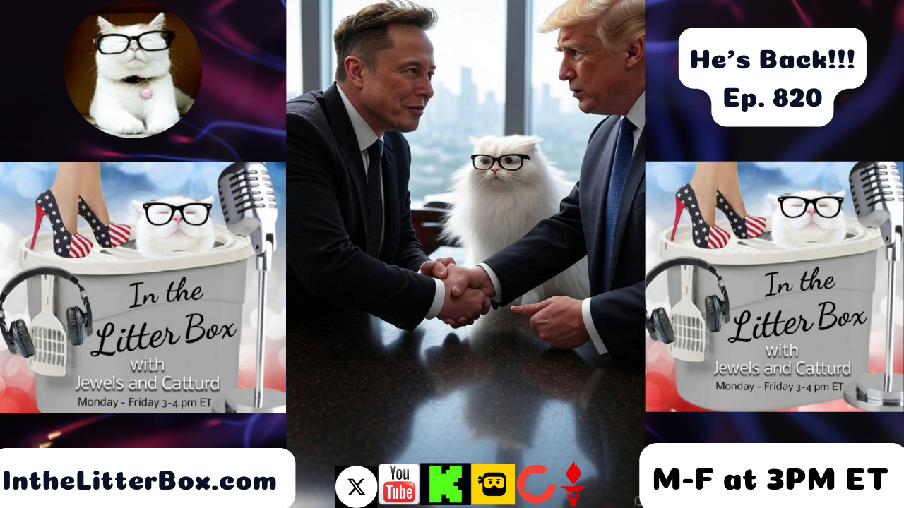 He's Back!!! | In the Litter Box w/ Jewels & Catturd – Ep. 820 – 6/12/2025
