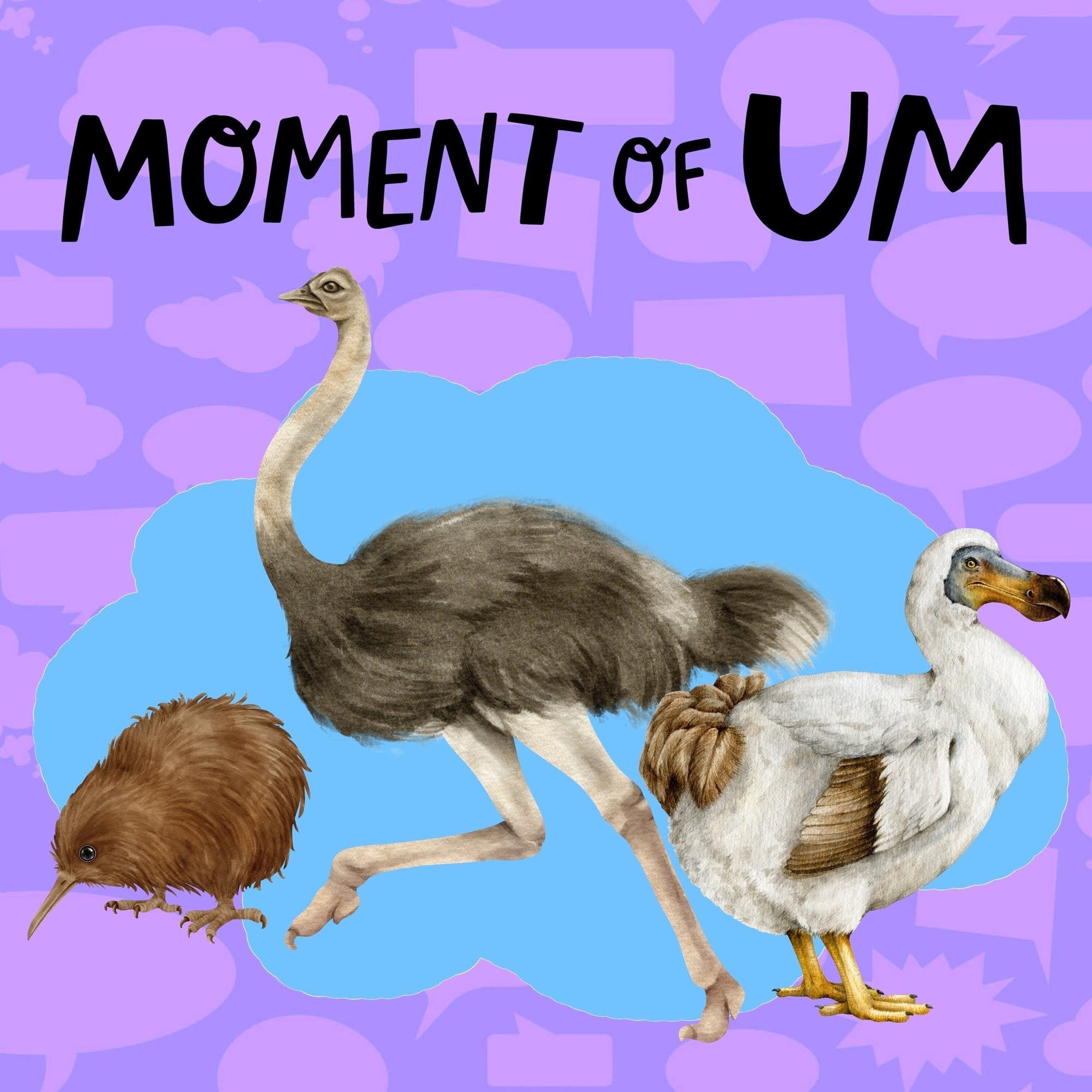 Why do flightless birds have wings?