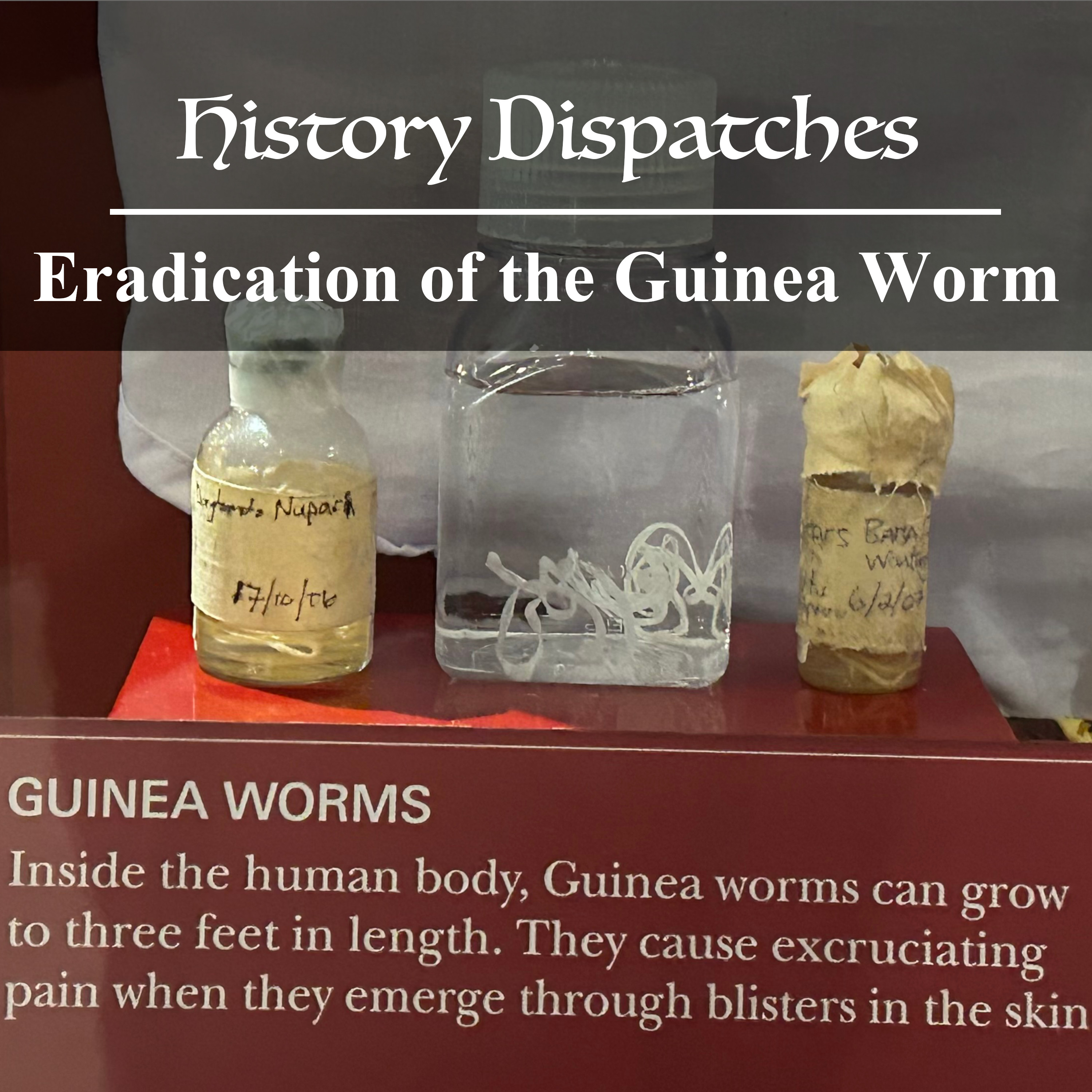 Eradication of the Guinea Worm
