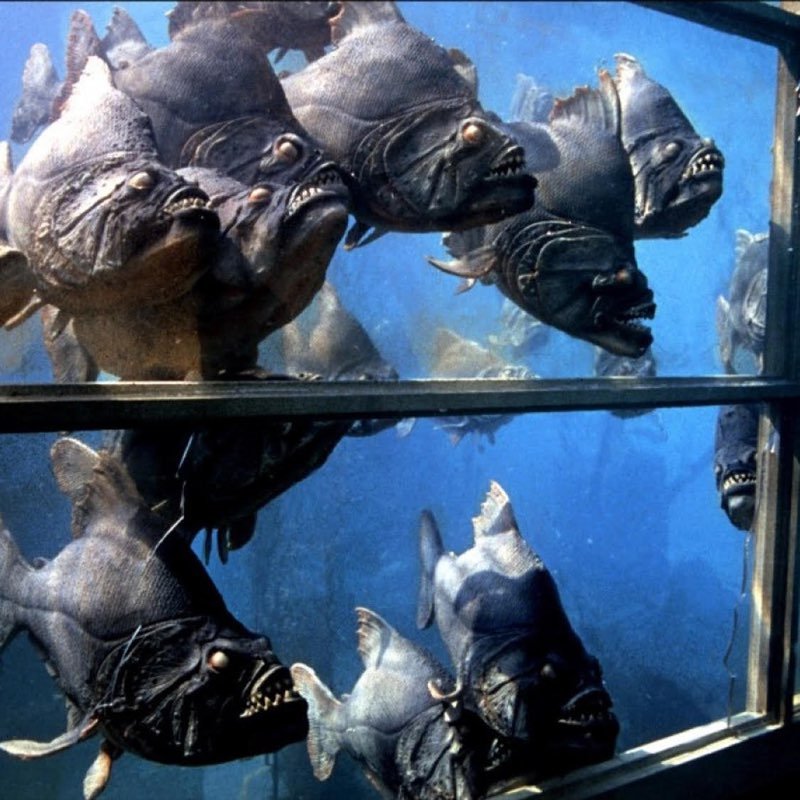 Piranha (1978)