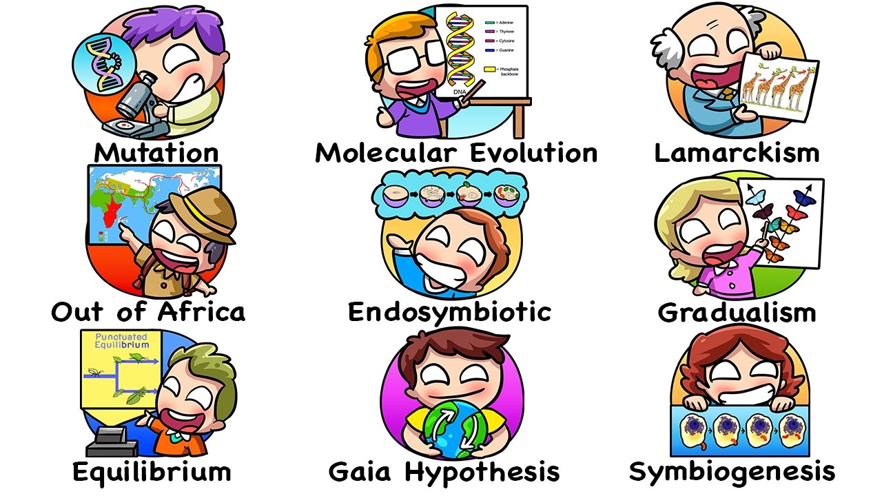 Every World Evolution Theory Explained in 17 Minutes | The Analyst episode artwork