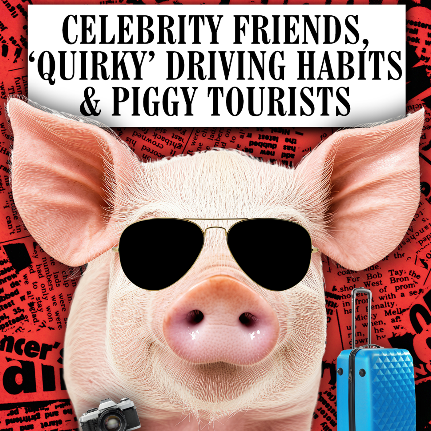 Celebrity friends, ‘Quirky’ Driving Habits & Piggy Tourists