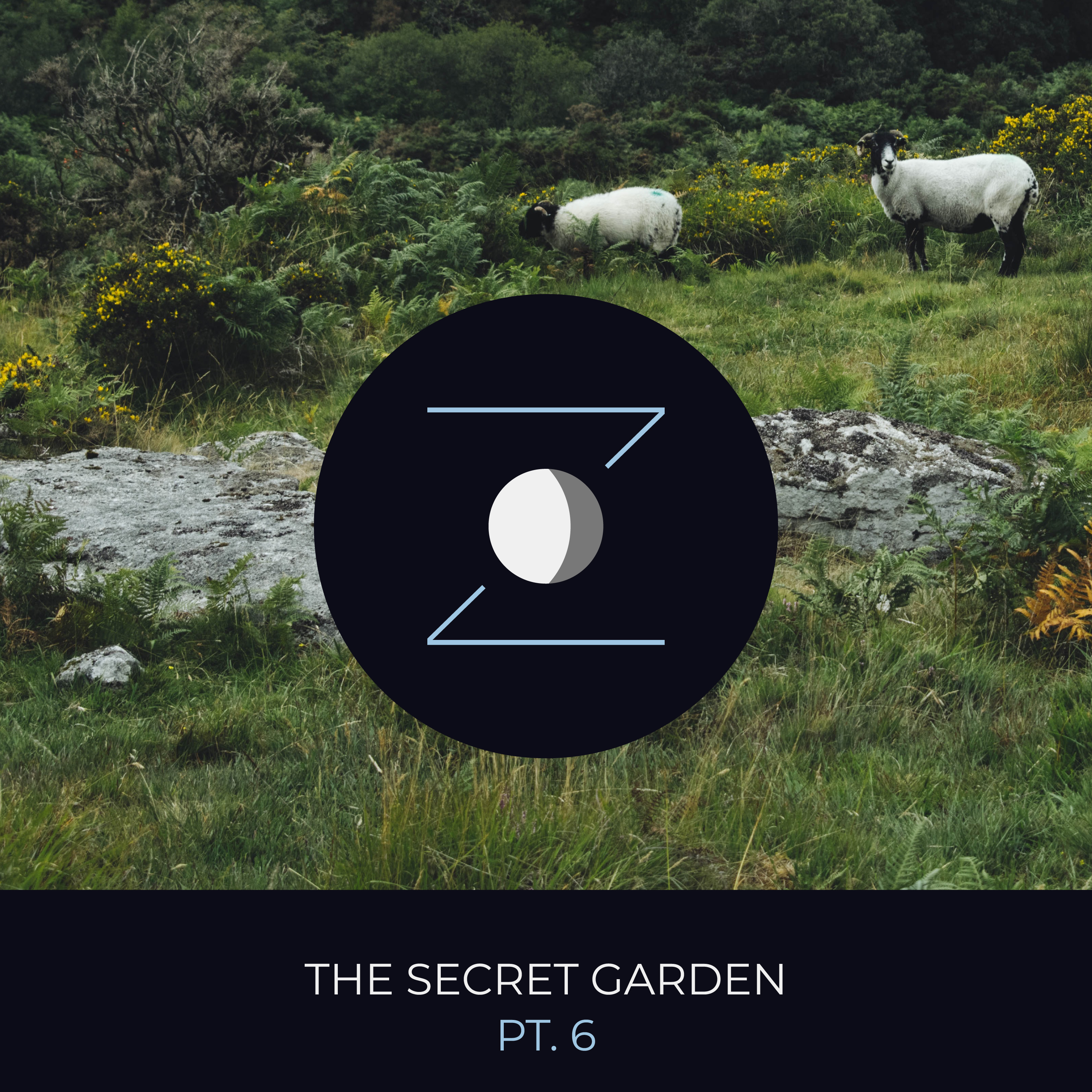 The Secret Garden pt. 6 episode artwork