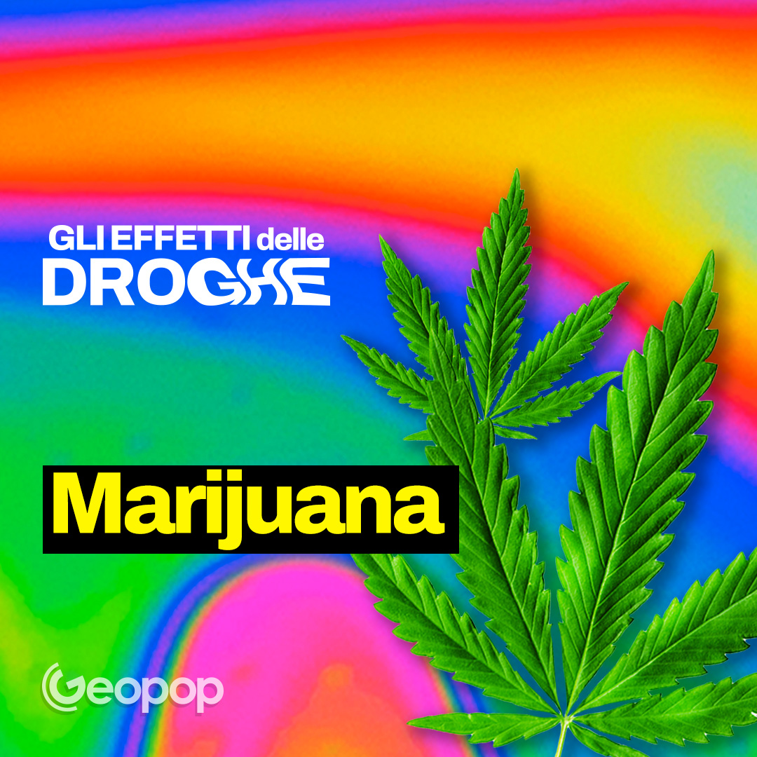 EP. 1  - Marijuana, cosa succede quando si assume e gli effetti della cannabis su corpo e cervello