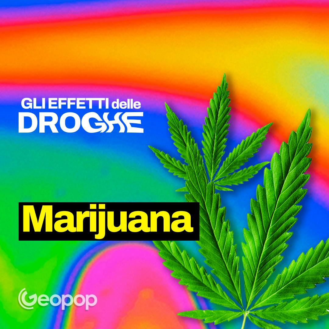 EP. 1 - Marijuana, cosa succede quando si assume e gli effetti della cannabis su corpo e cervello EP. 1 - Marijuana, cosa succede quando si assume e gli effetti della cannabis su corpo e cervello