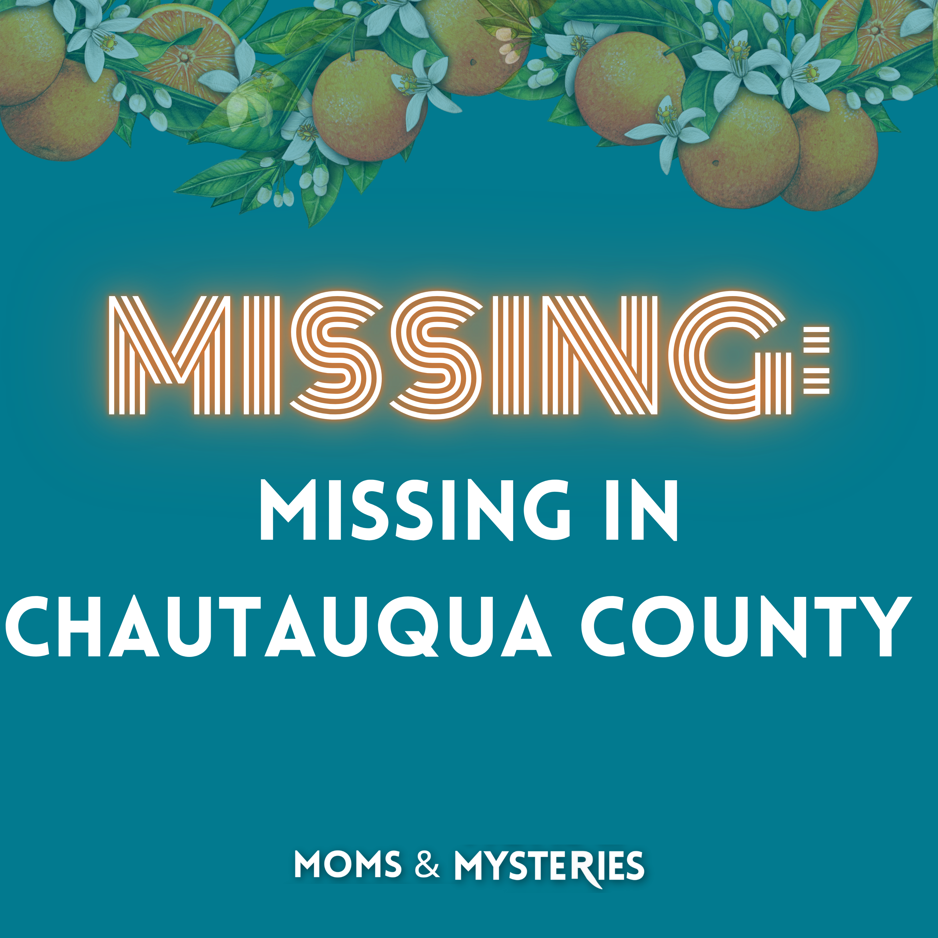 Missing in Chautauqua County