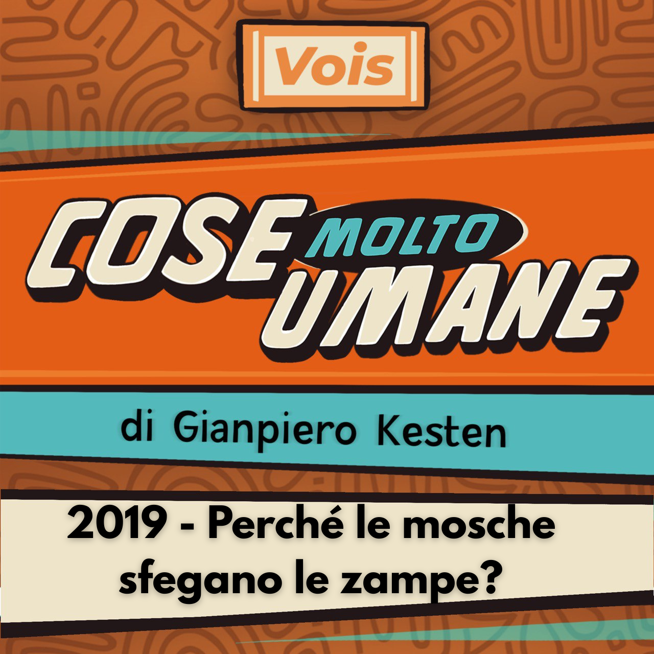 2019 - Perché le mosche sfregano le zampe?