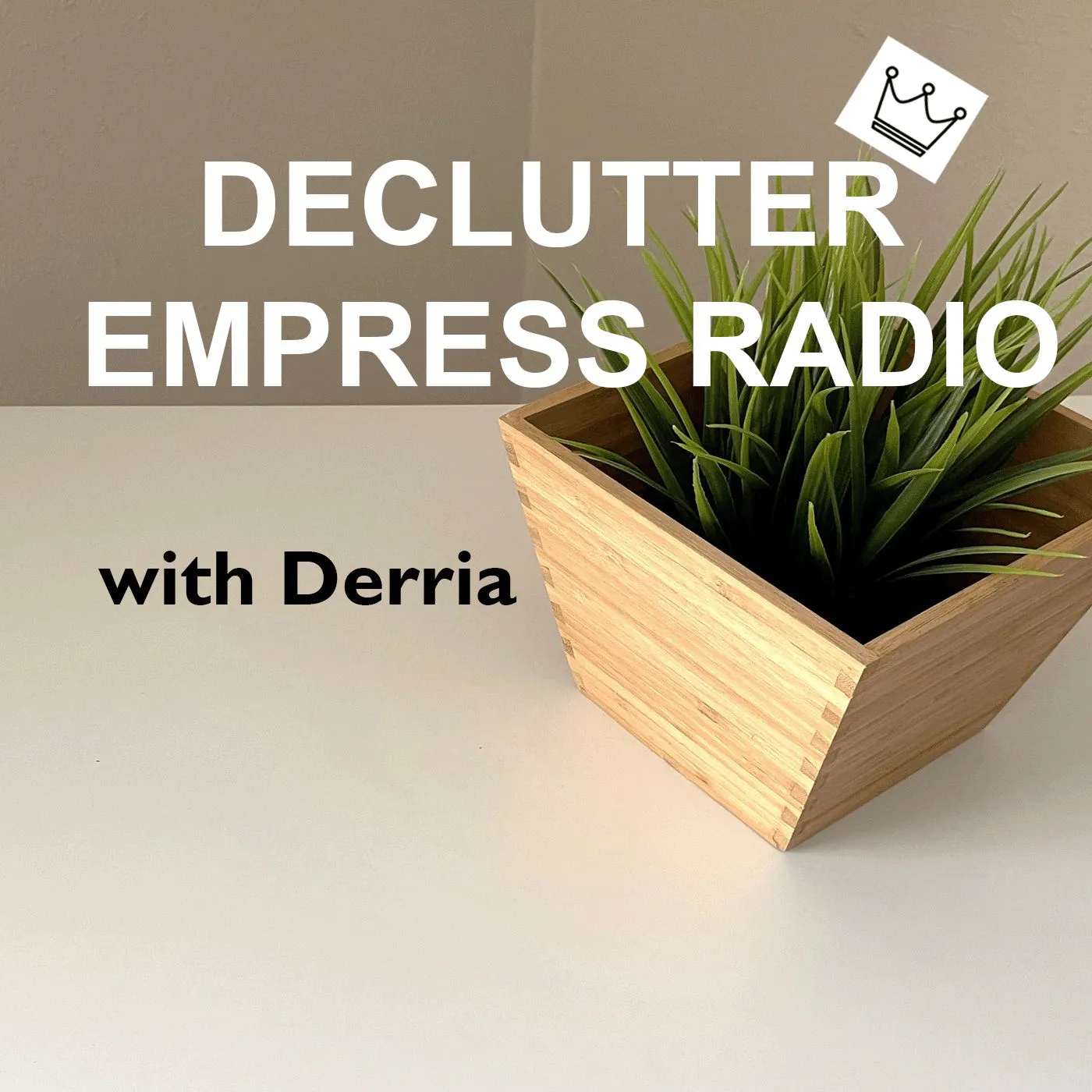 Episode 53: Decluttering For Pet Owners