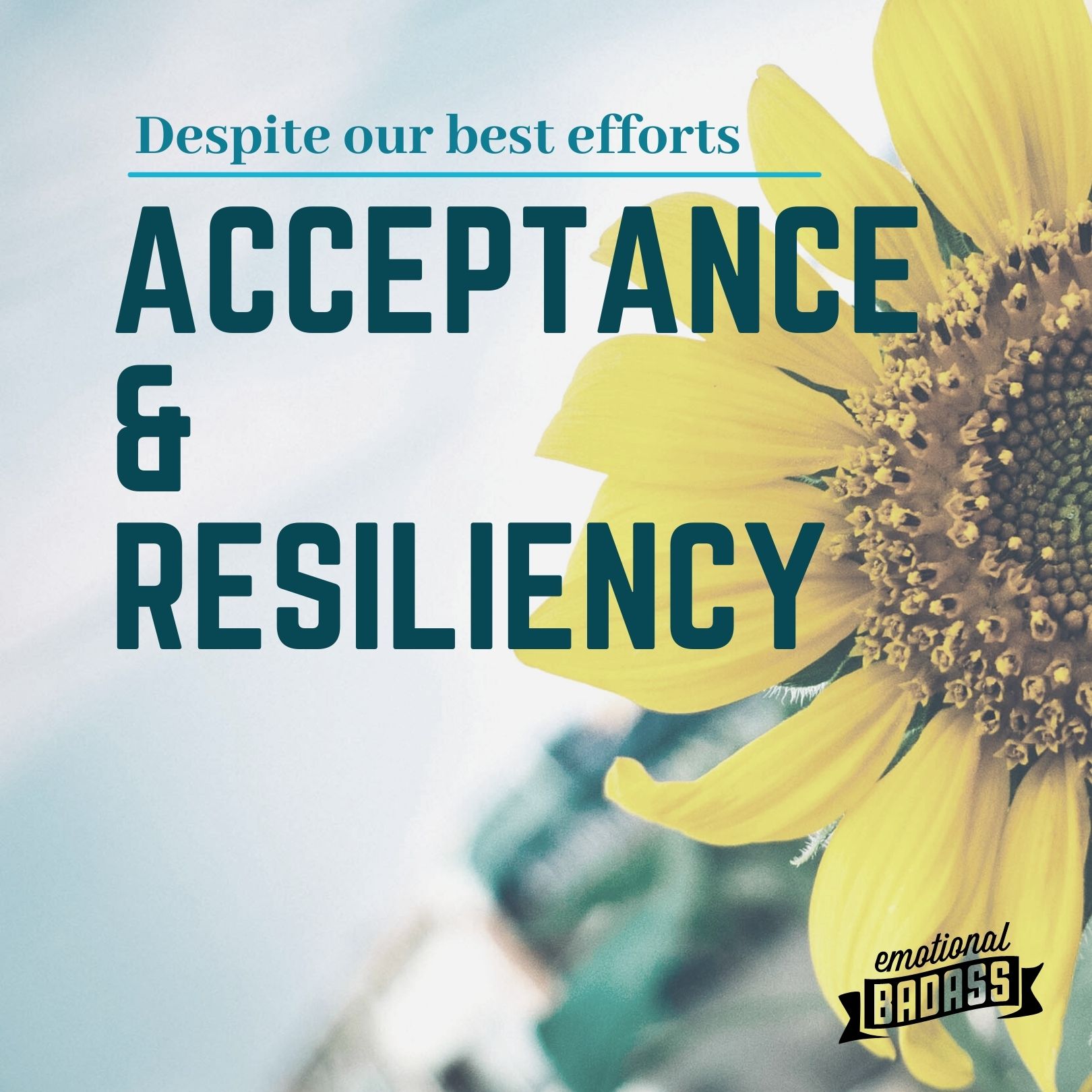 Don't Give Up on Wellness and Mental Health! A Guide for HSP's to Embrace Resiliency