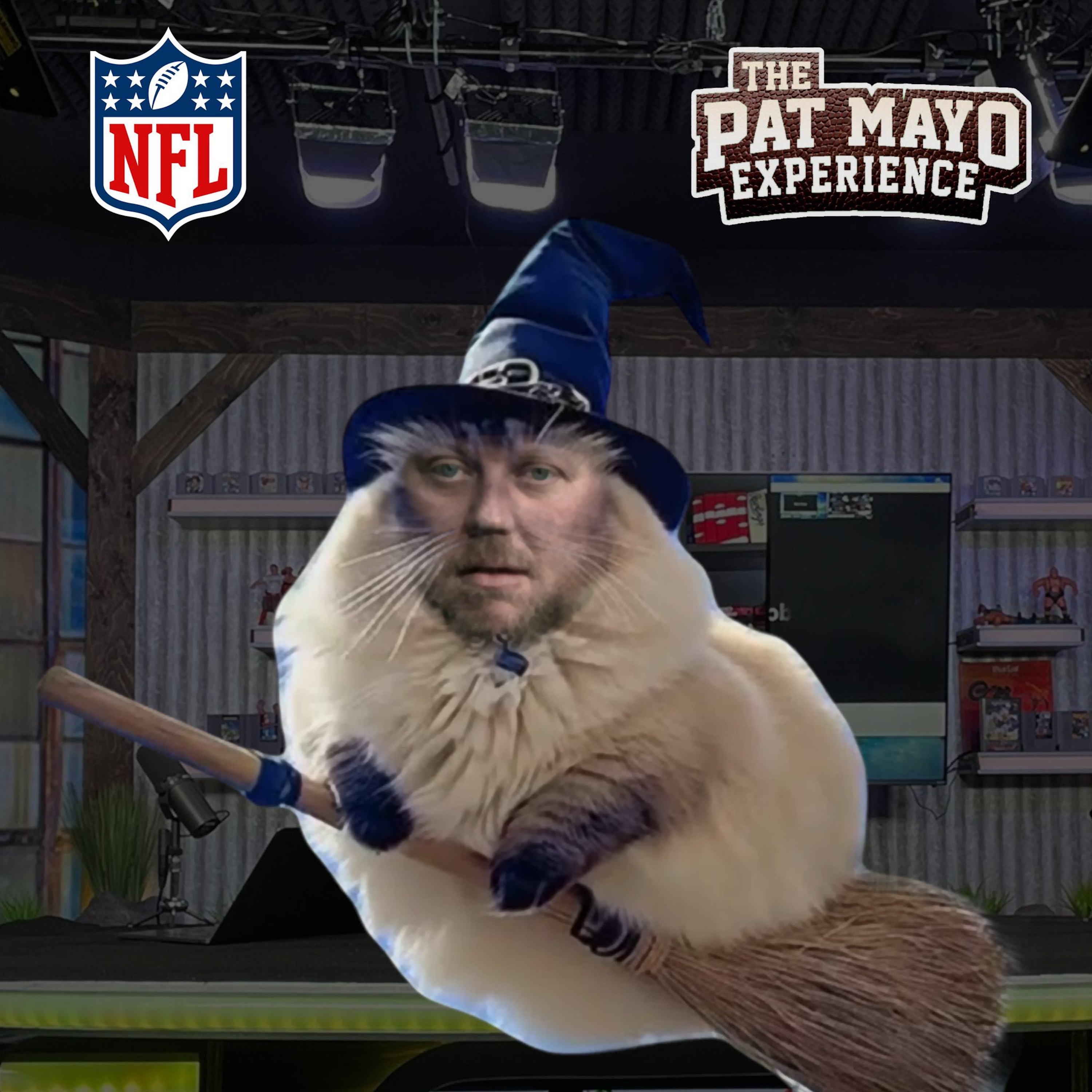 Pat Mayo Experience