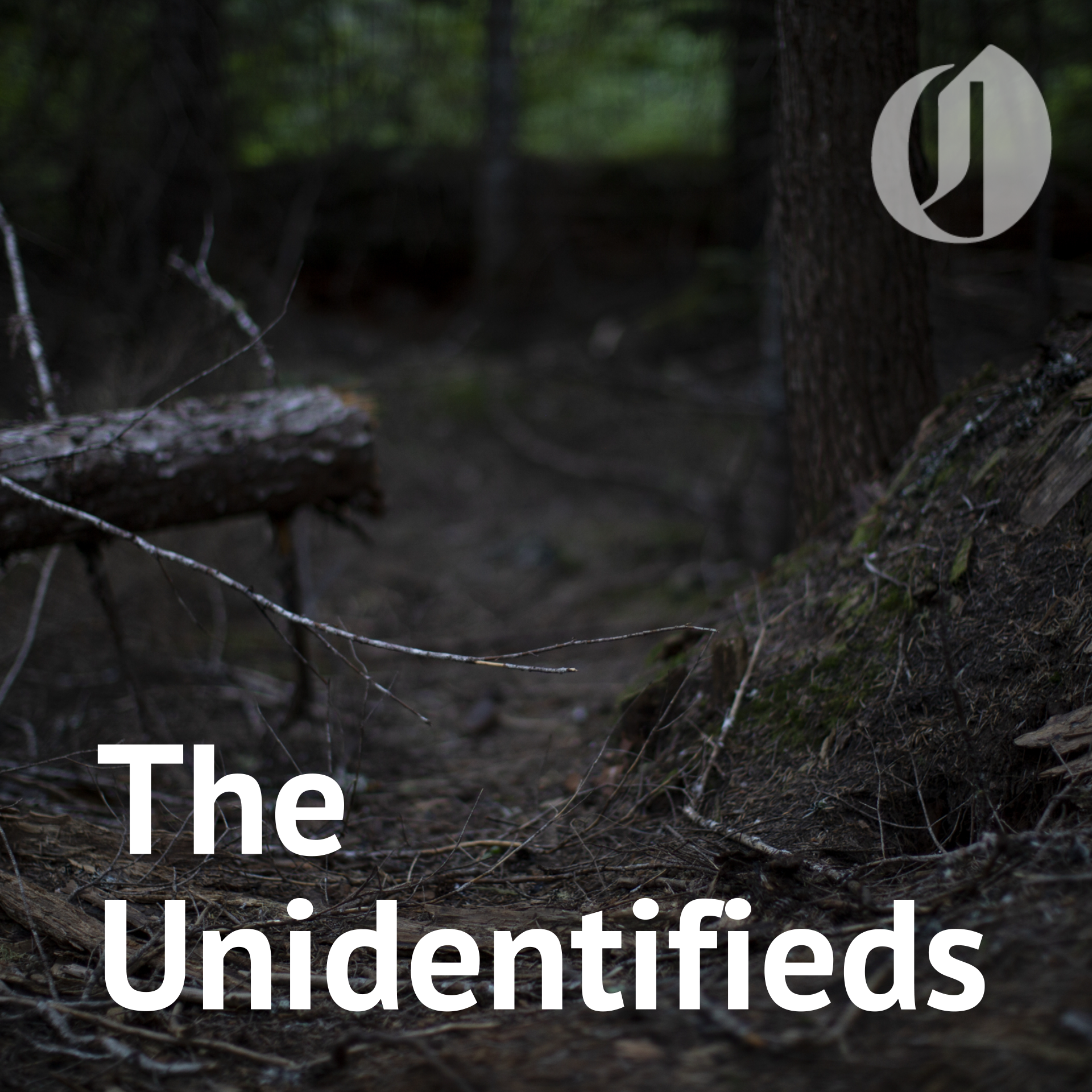 The Unidentifieds podcast artwork
