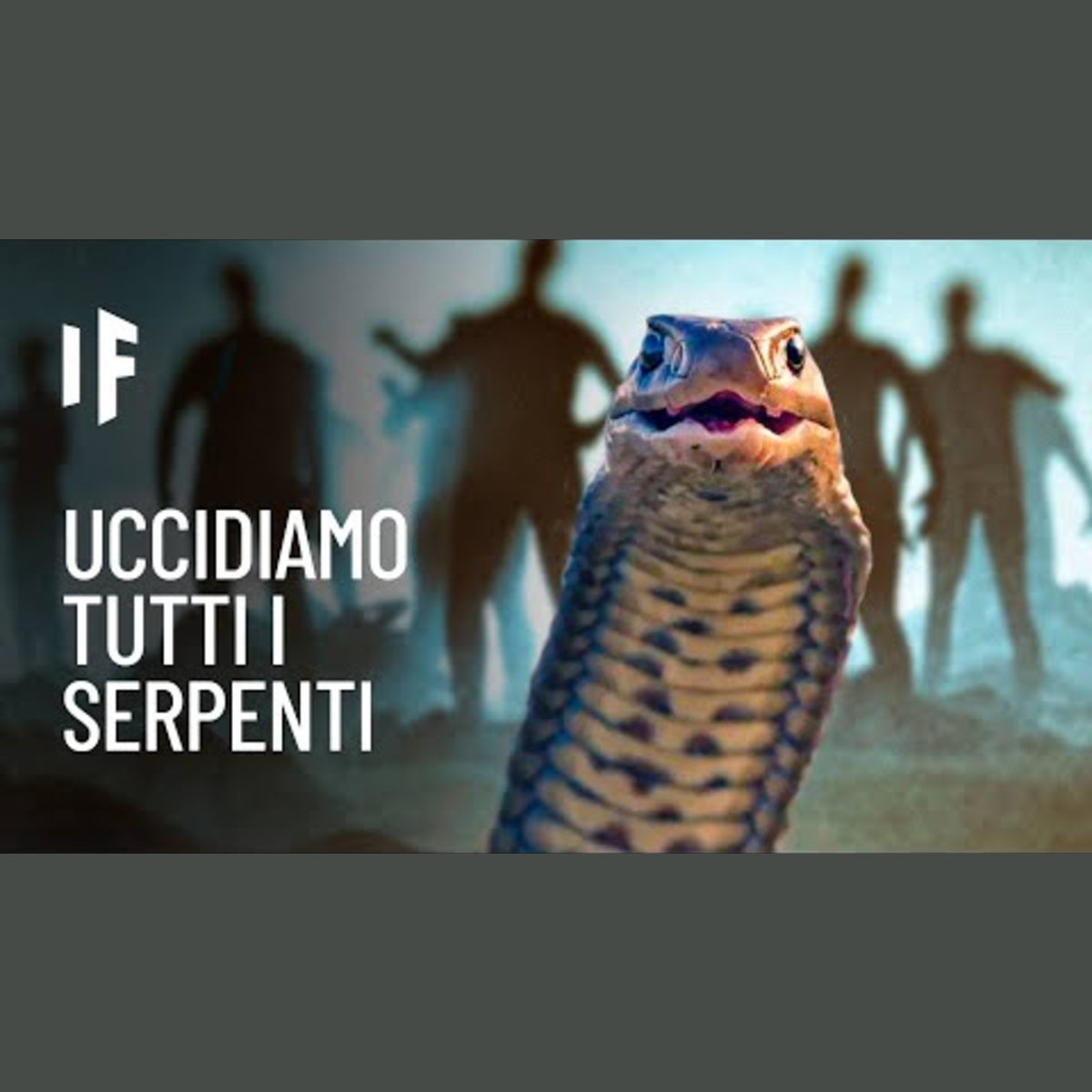 E se uccidessimo tutti i serpenti? episode artwork