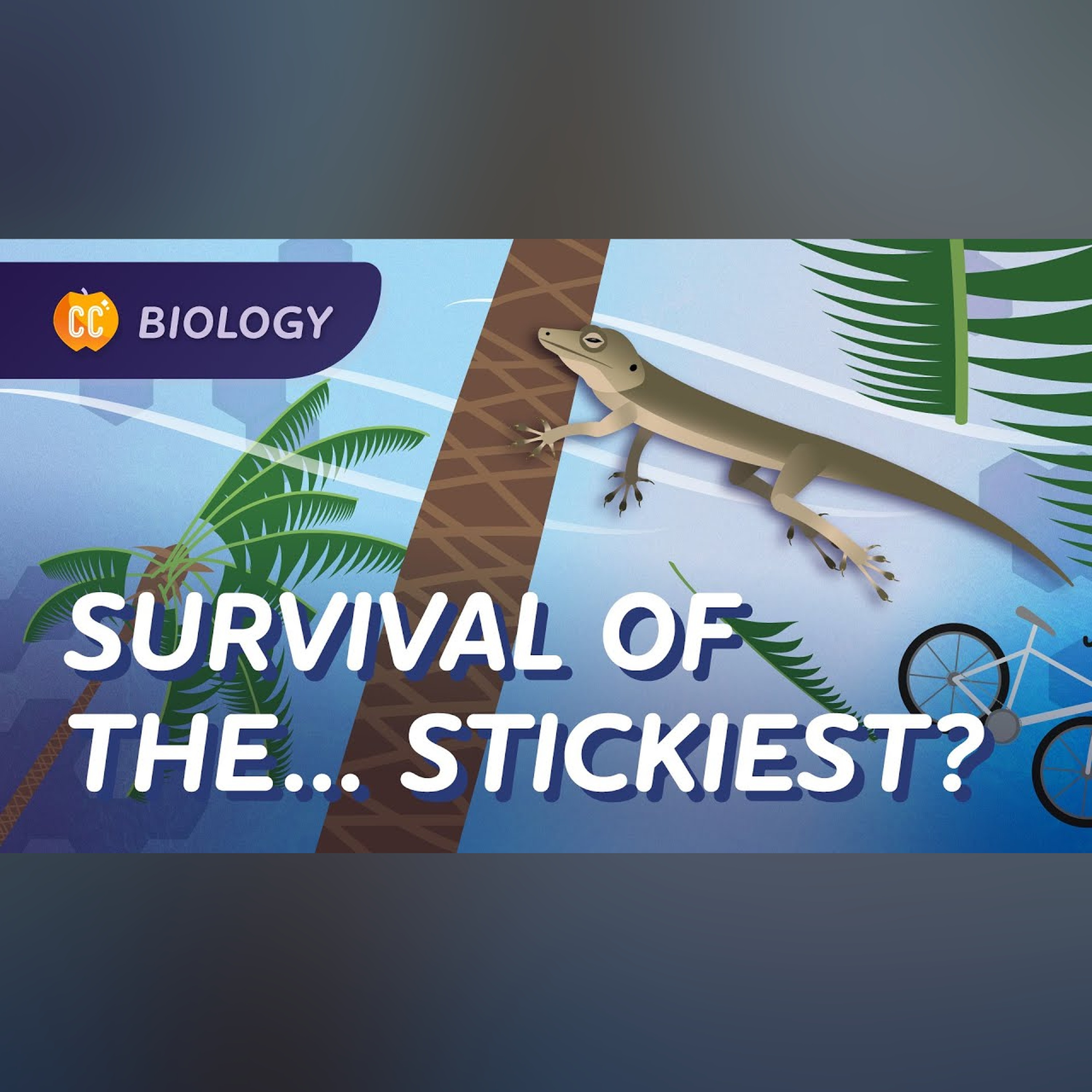 Natural Selection: Life's Way of Stayin' Alive: Crash Course Biology #13
