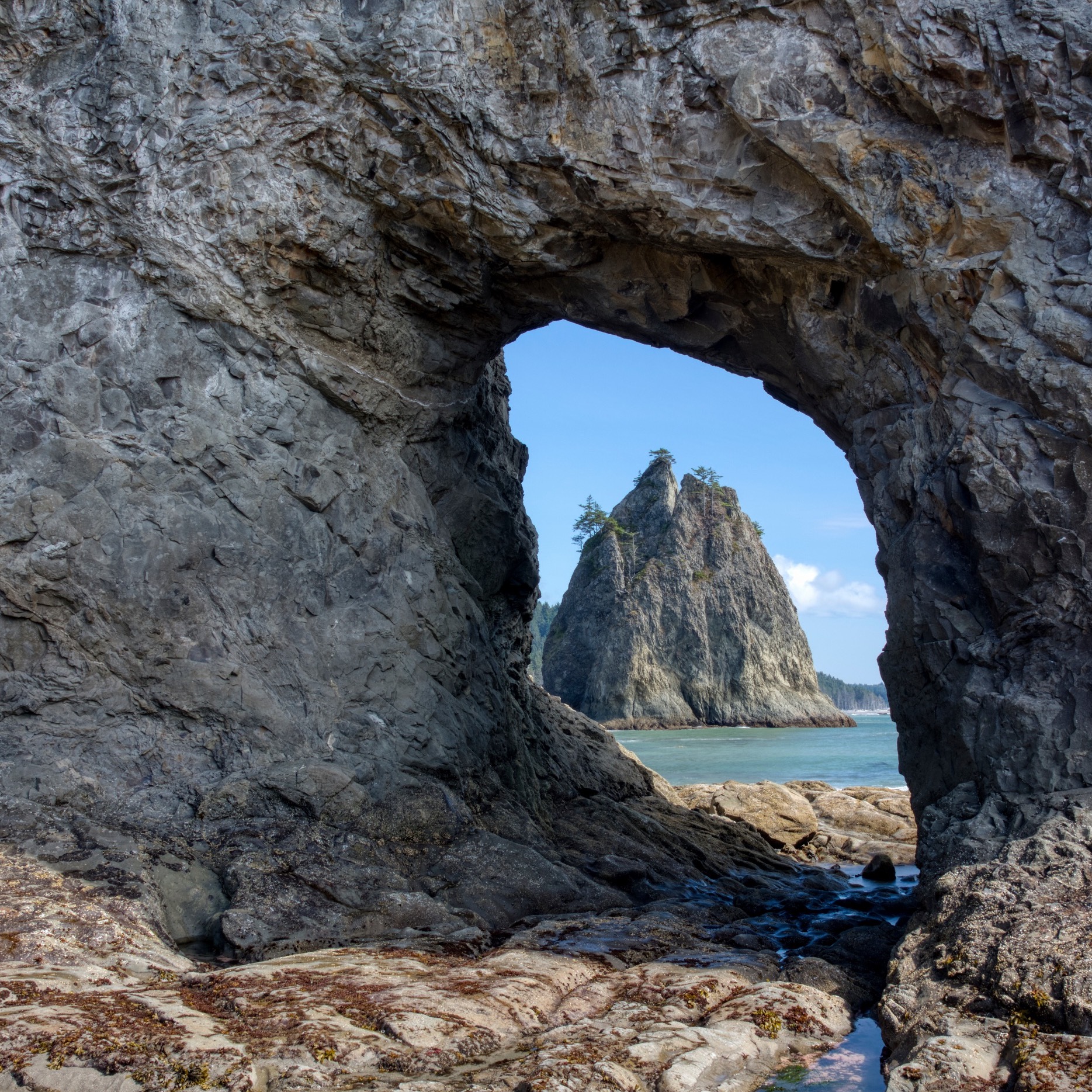 #127: Archive Episode, The Beaches of Olympic National Park