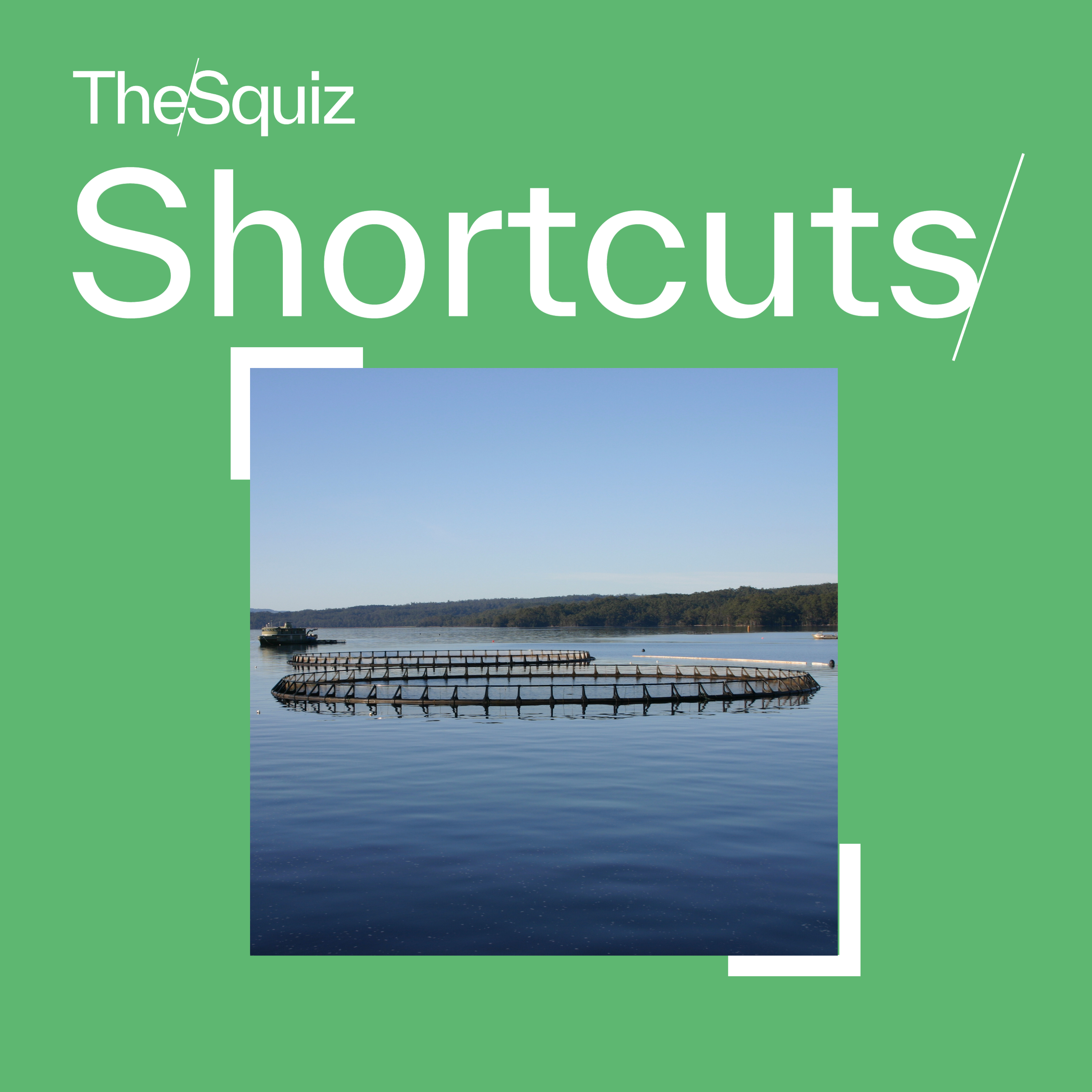 Your Shortcut to... the fight over salmon farming in Tassie