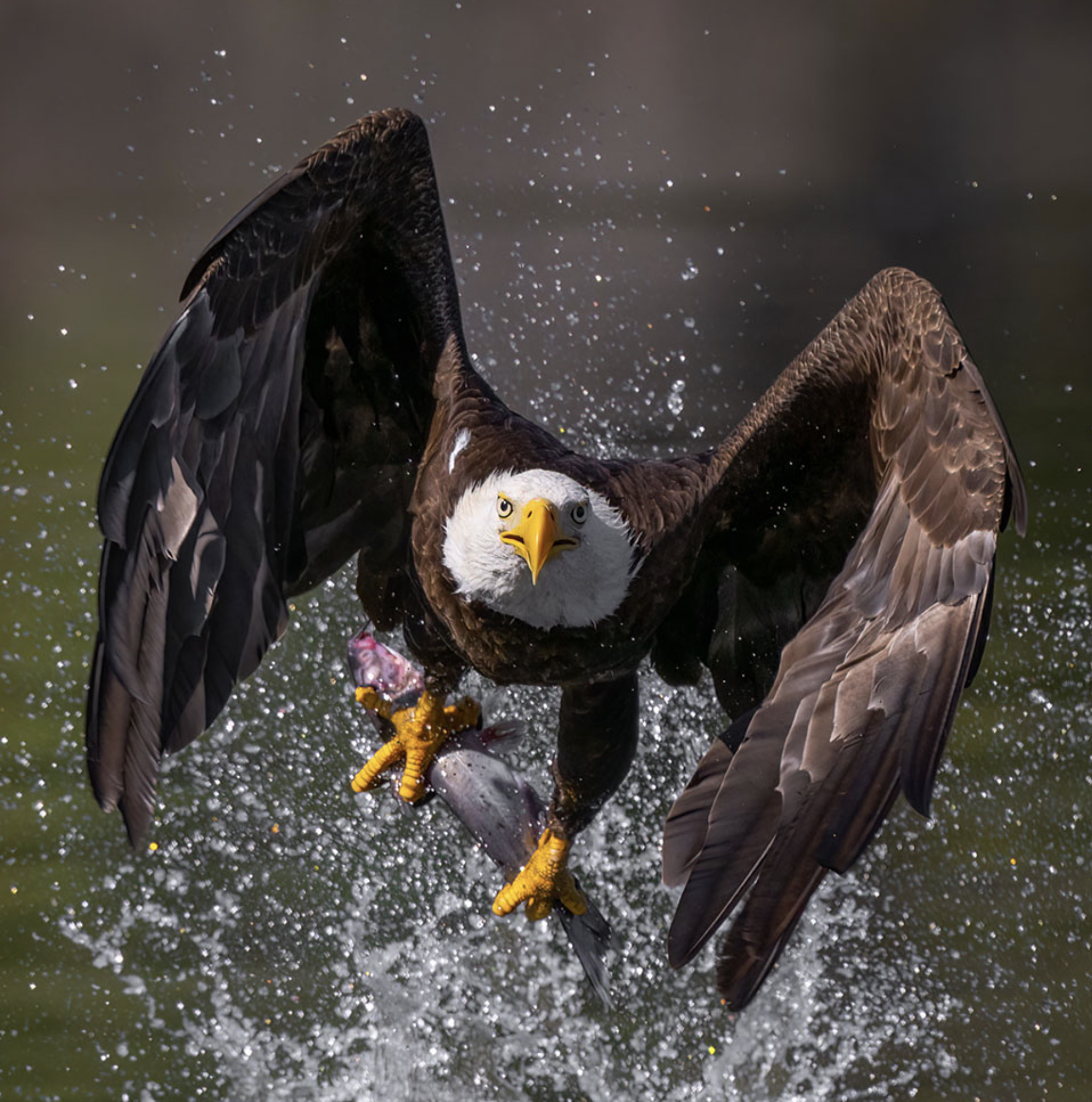 The 2024 Arizona Highways Photo Contest