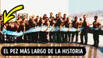 Portada de GENIAL