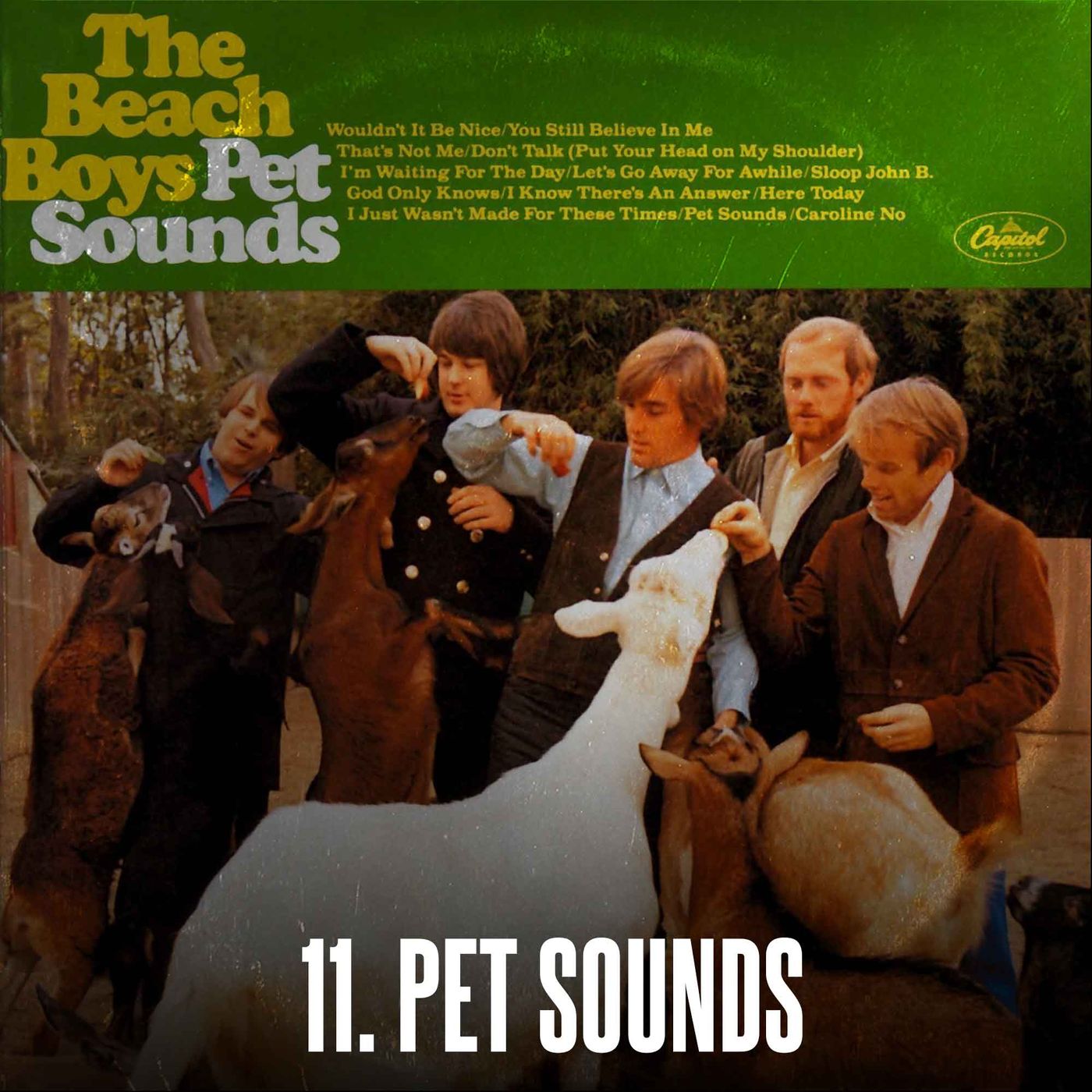 Pet Sounds