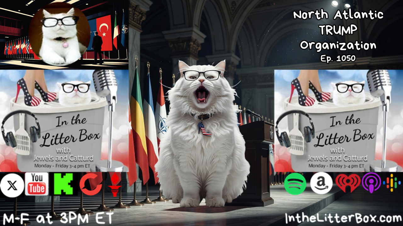 North Atlantic TRUMP Organization | In the Litter Box w/ Jewels & Catturd – Ep. 1050 – 7/7/2026