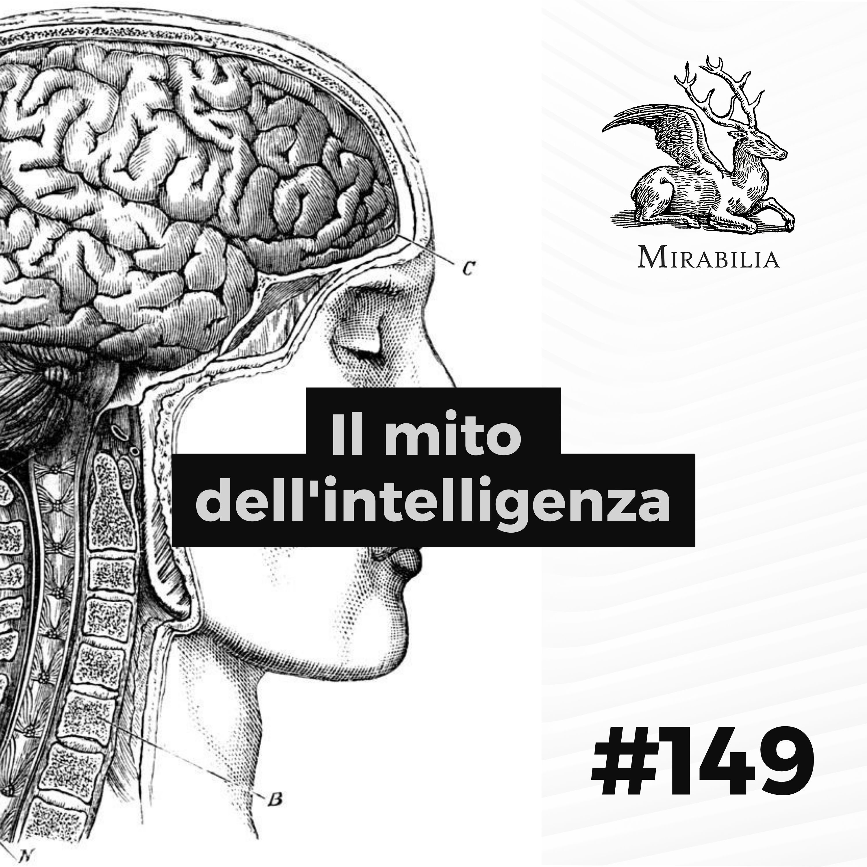 149. Il mito dell’intelligenza