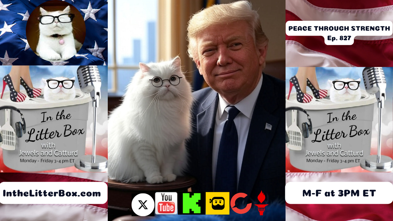 PEACE THROUGH STRENGTH | In the Litter Box w/ Jewels & Catturd – Ep. 827 – 6/23/2025