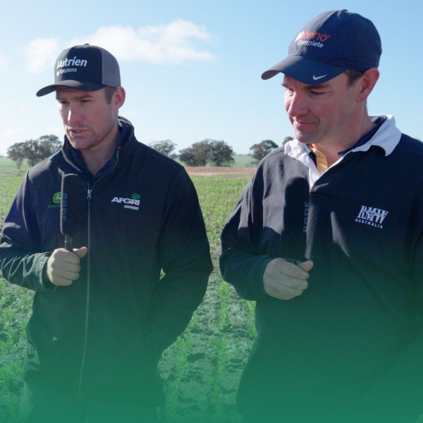 Legume profitability: How they stack up in the west
