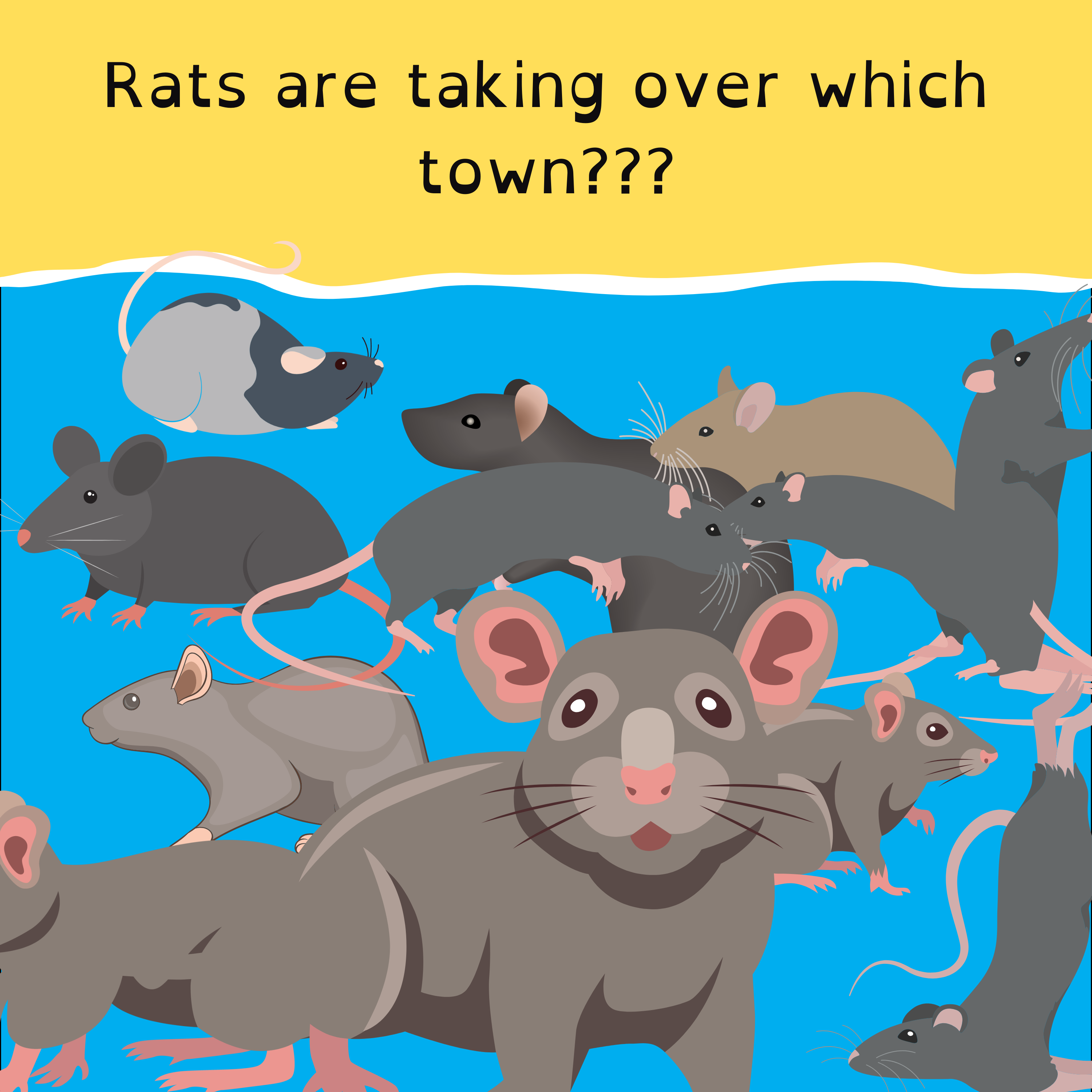 Rat plague in Queensland; England’s new baby rhino; Barbiecore makes the dictionary; and Xmas decorations Willy Wonka-style.