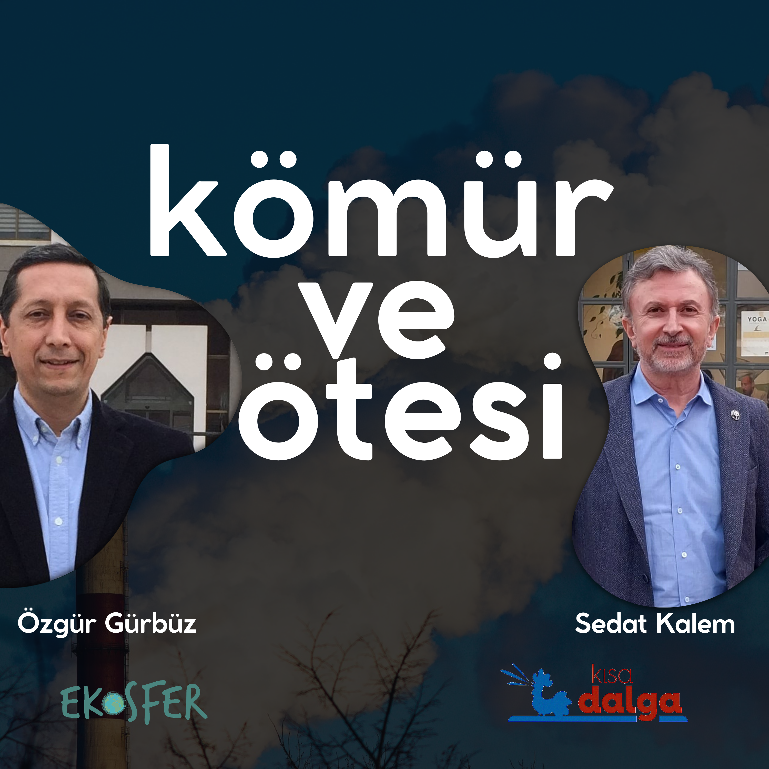 Kömür ve Ötesi - 6 | İklim krizi yaban hayatı nasıl etkiliyor?