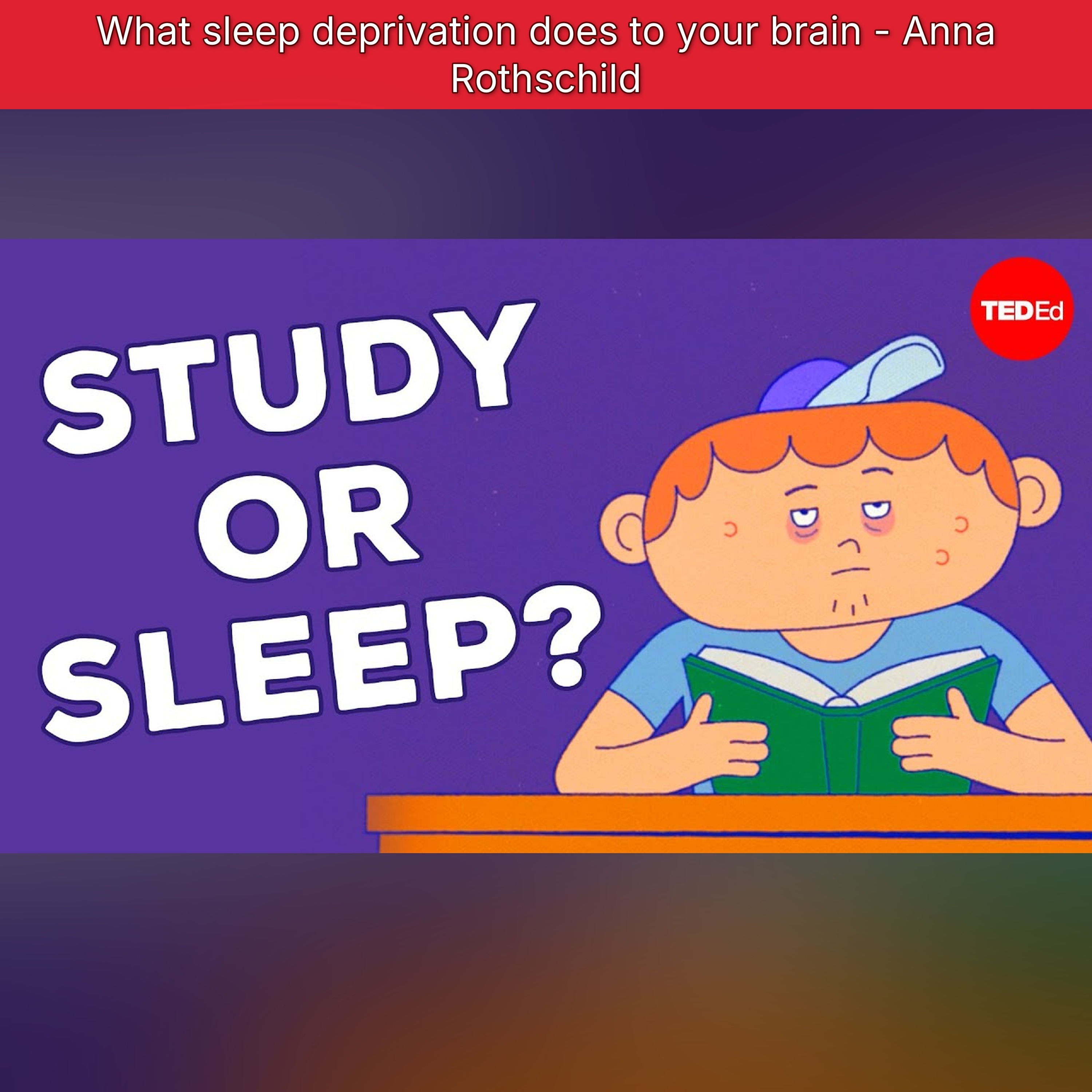 What sleep deprivation does to your brain - Anna Rothschild episode artwork