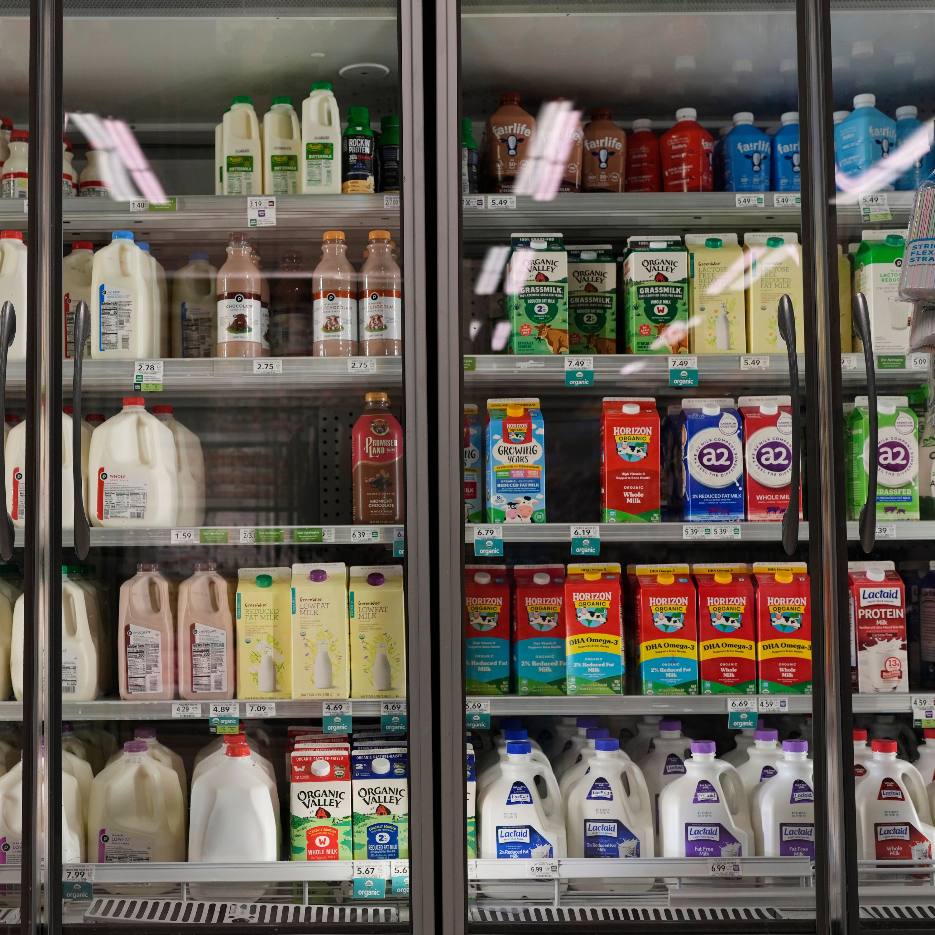 SNAP Cuts Spark Outrage Amid Shutdown