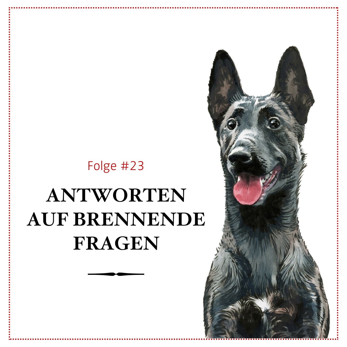 Antworten auf brennende Fragen rund um den Hund – #23